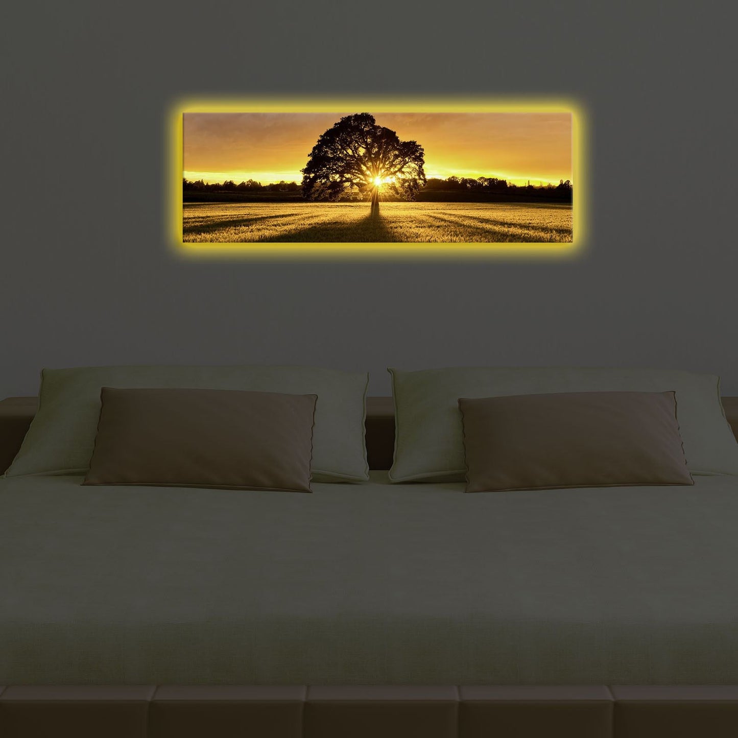 Ukrasna LED osvijetljena platno slika, 3090DACT-68