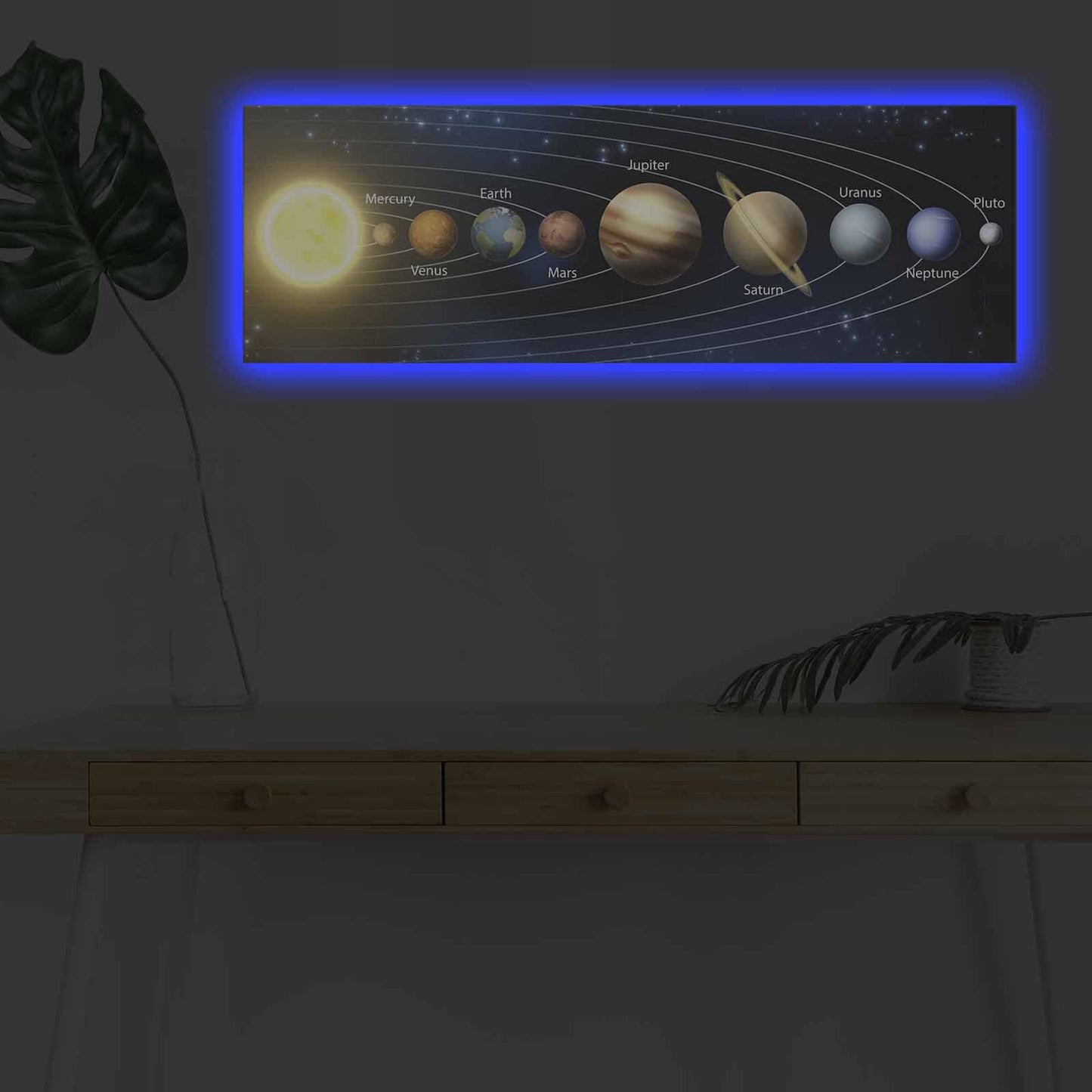 Ukrasna LED osvijetljena platno slika, 3090NASA-021
