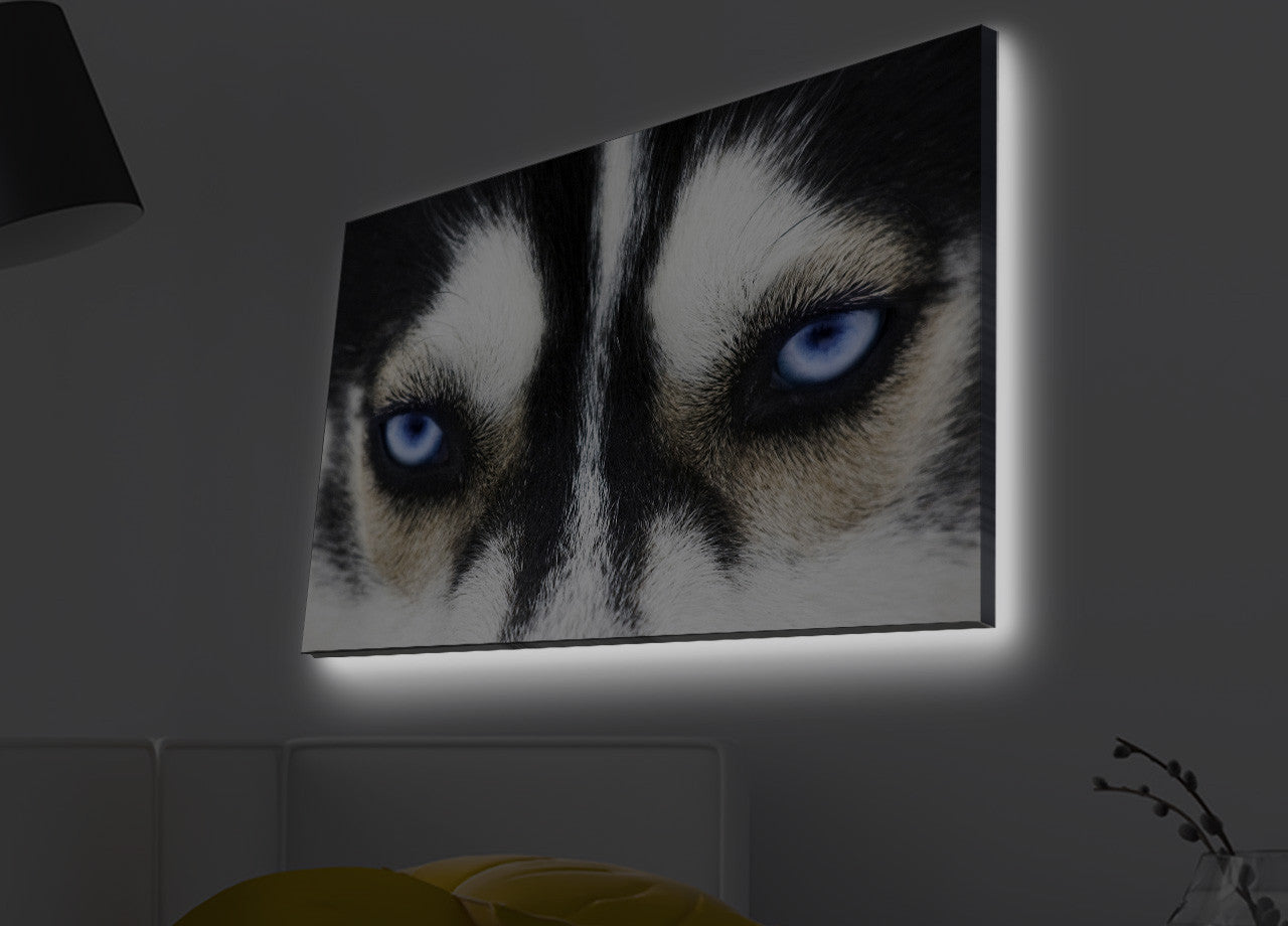 Slika dekorativna platno sa LED rasvjetom, 4570MDACT-039