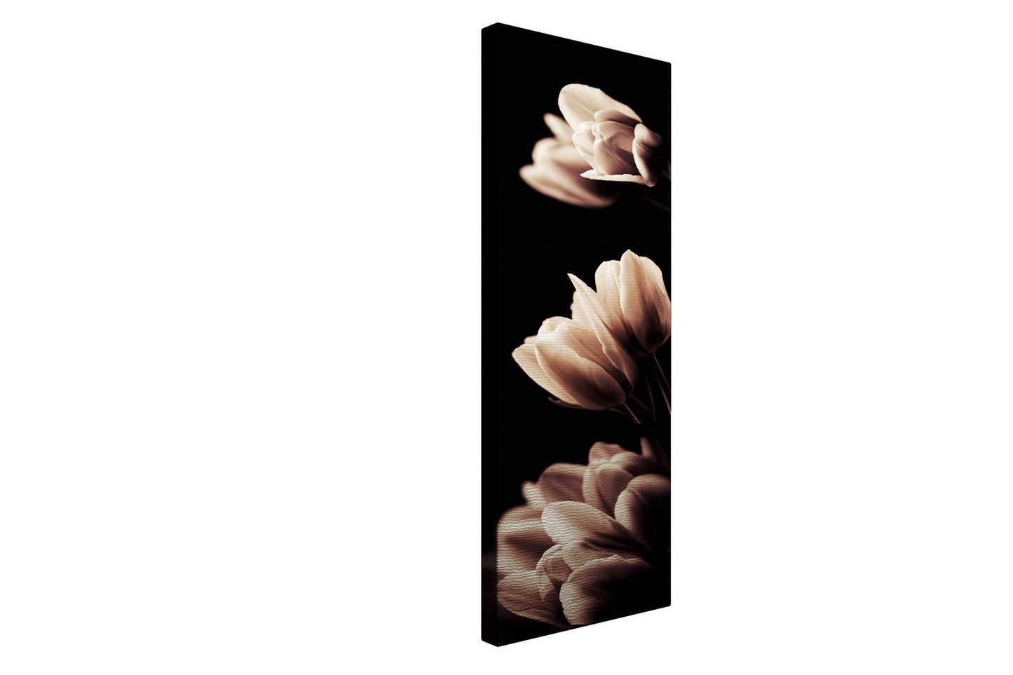 Slika ukrasna platno, PC006