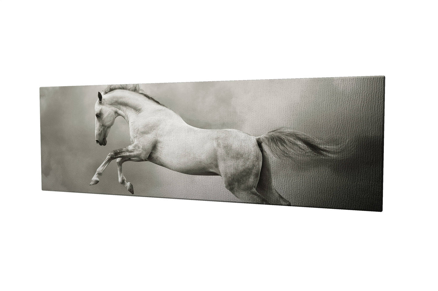 Slika ukrasna platno, PC016