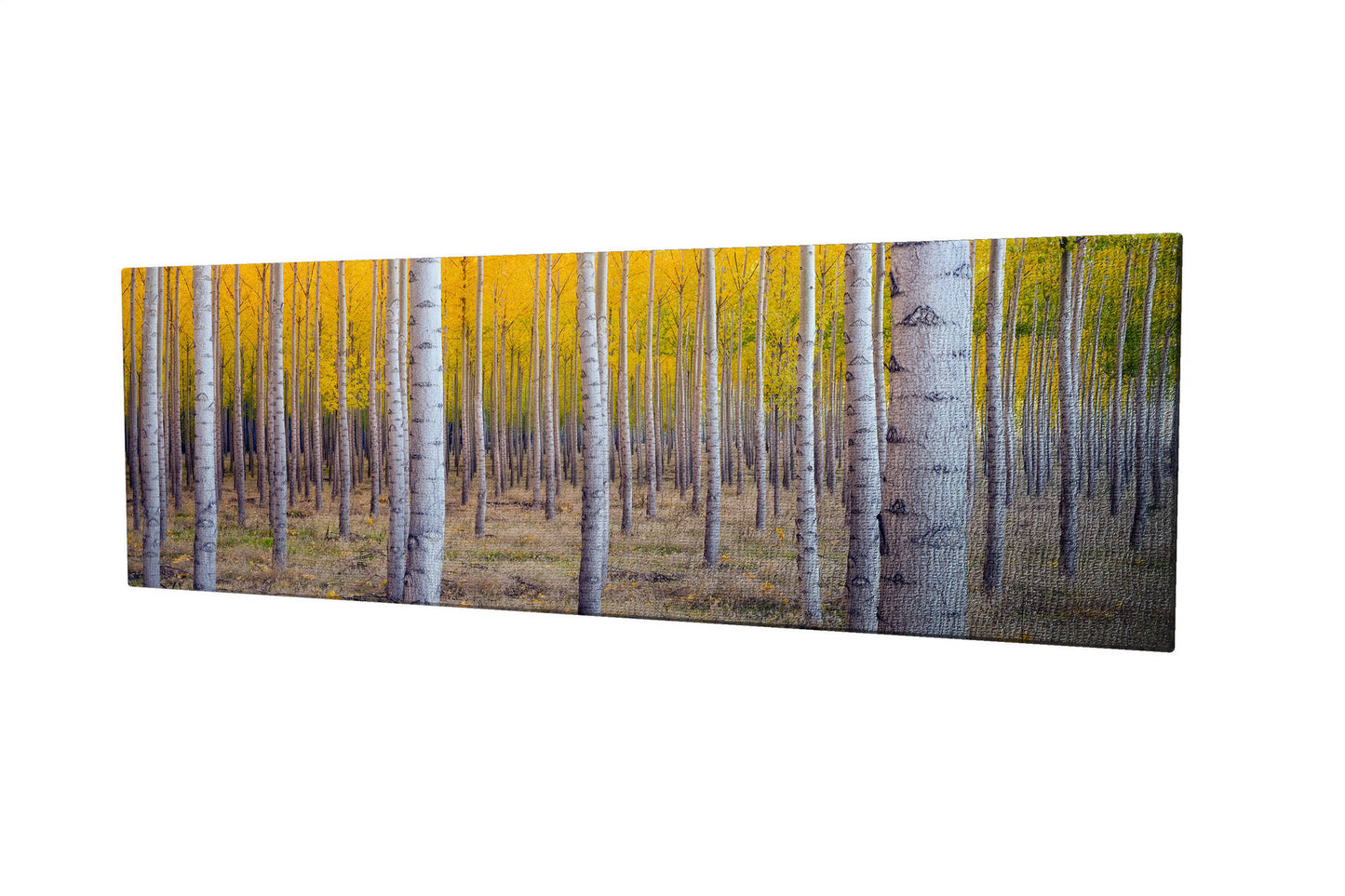Slika ukrasna platno, PC025