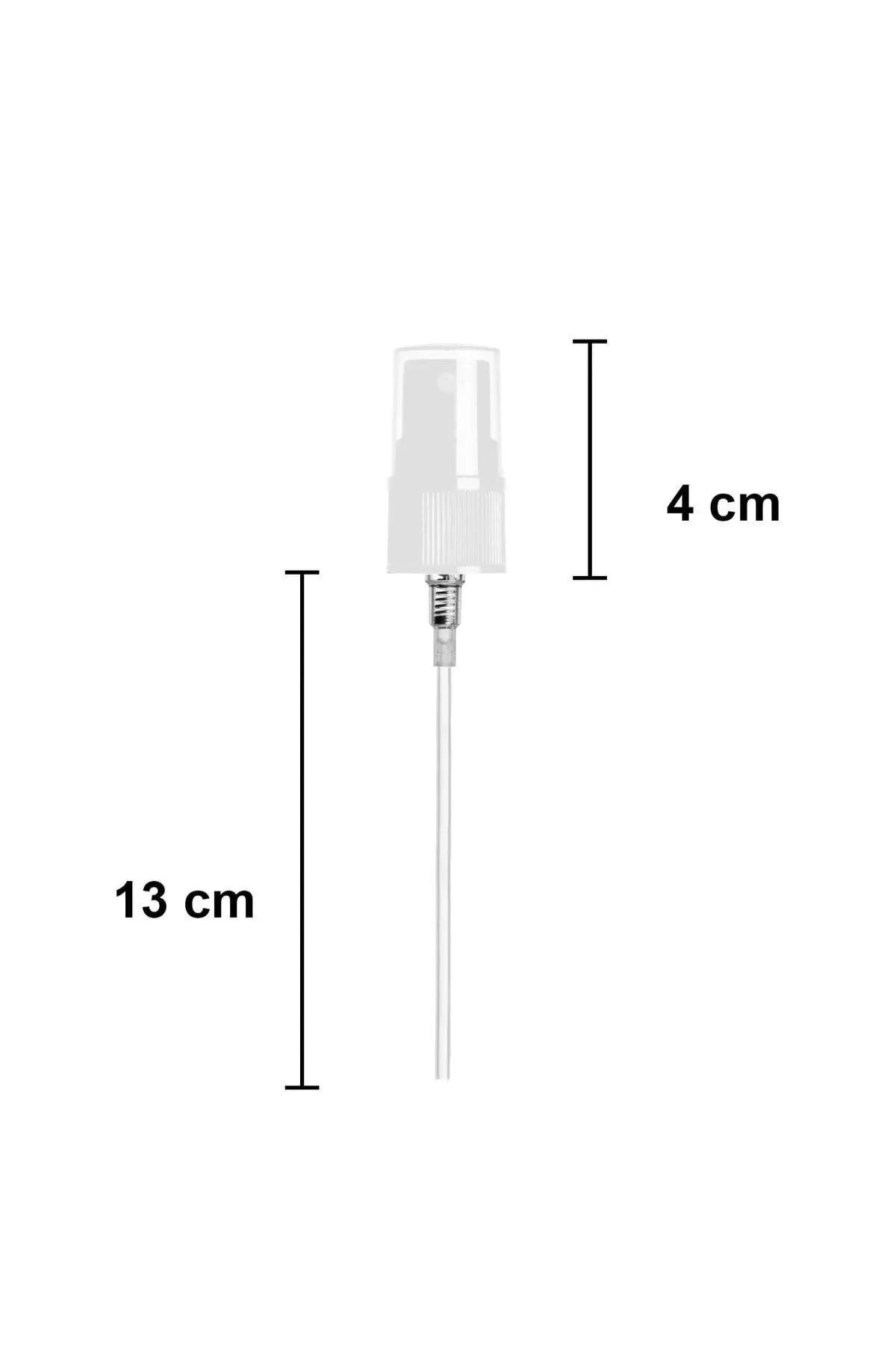 Set Staklenih Boca (10 Komada) 661, Prozirna