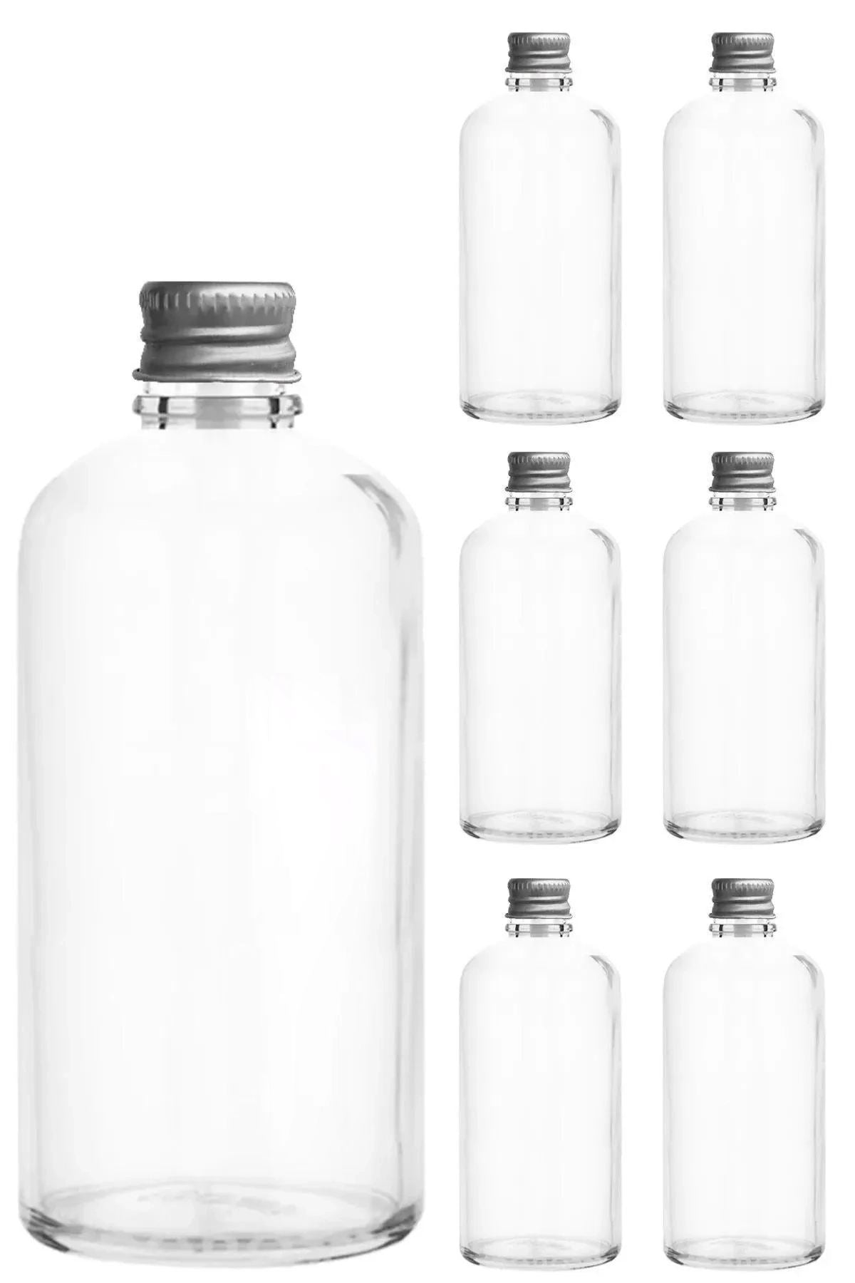 Set Staklenih Boca (12 Komada) 678, Prozirna, Srebrna