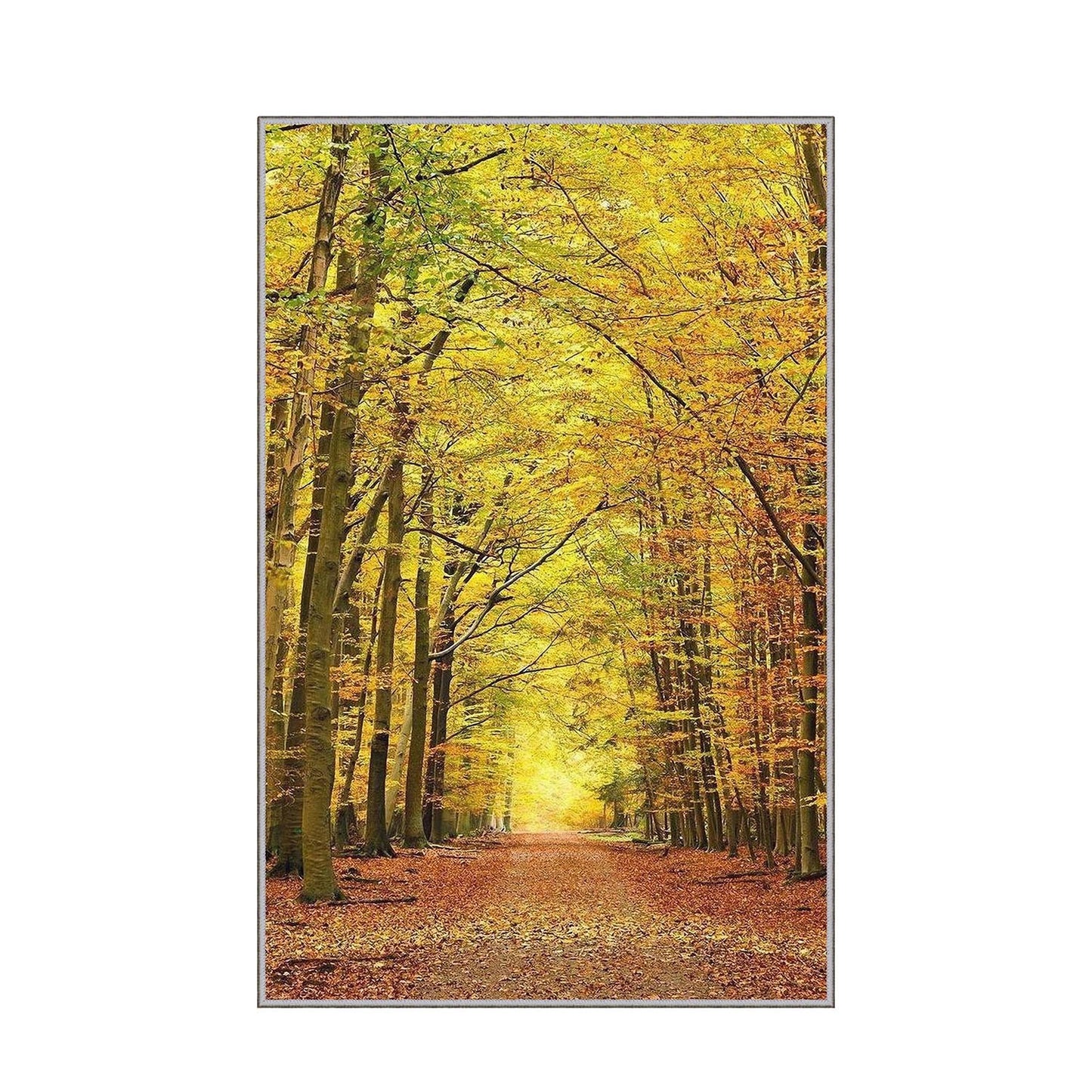 Tepih (80 x 120), EEXFAB859