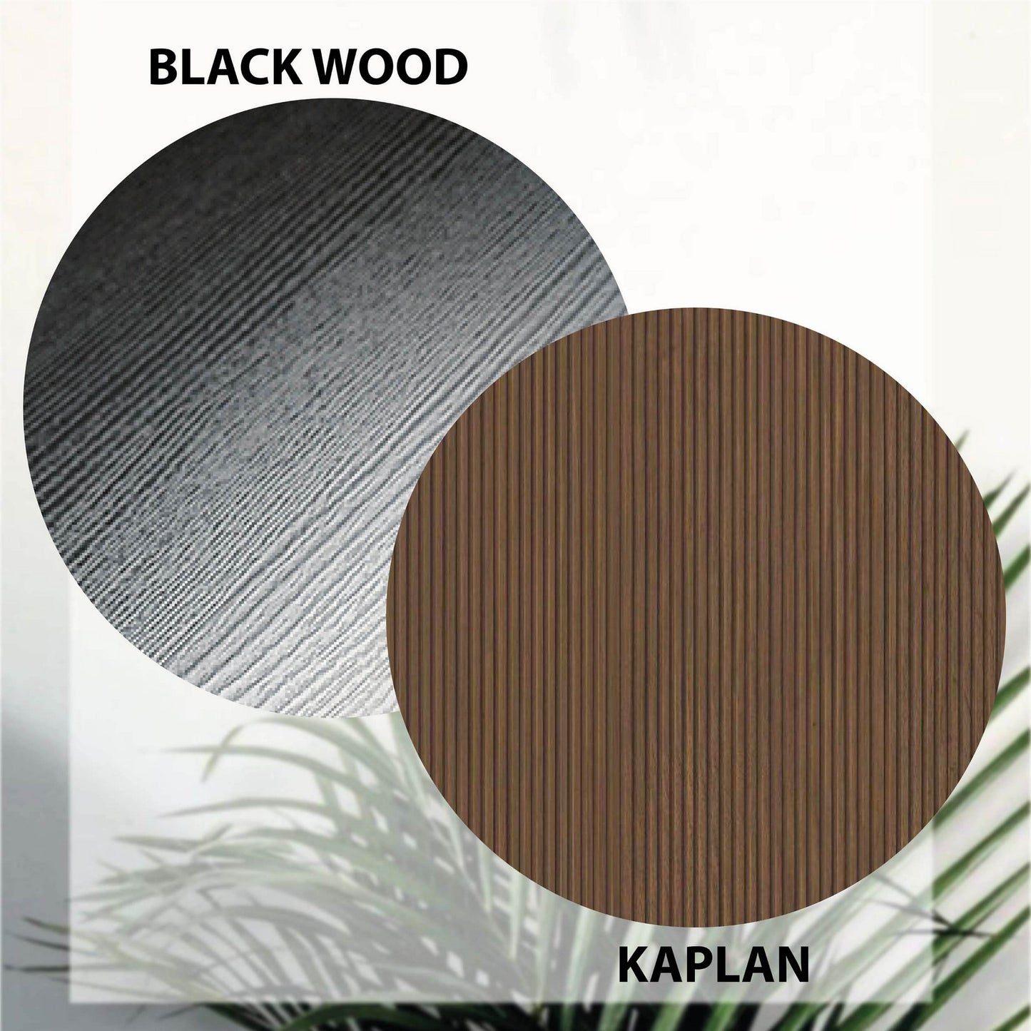 b581e867e91a2f4474320e7381701ee4