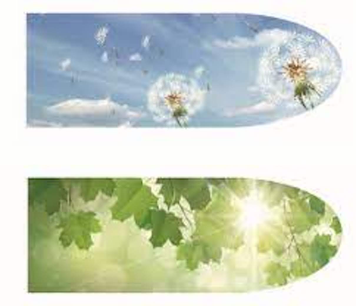 fdbb36e6ed0d4a357d484006c8039ed6