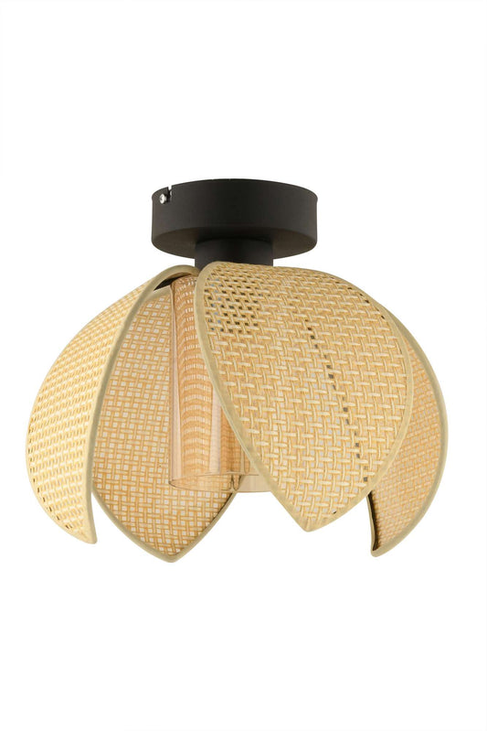 Luster 695, Krem, Crna