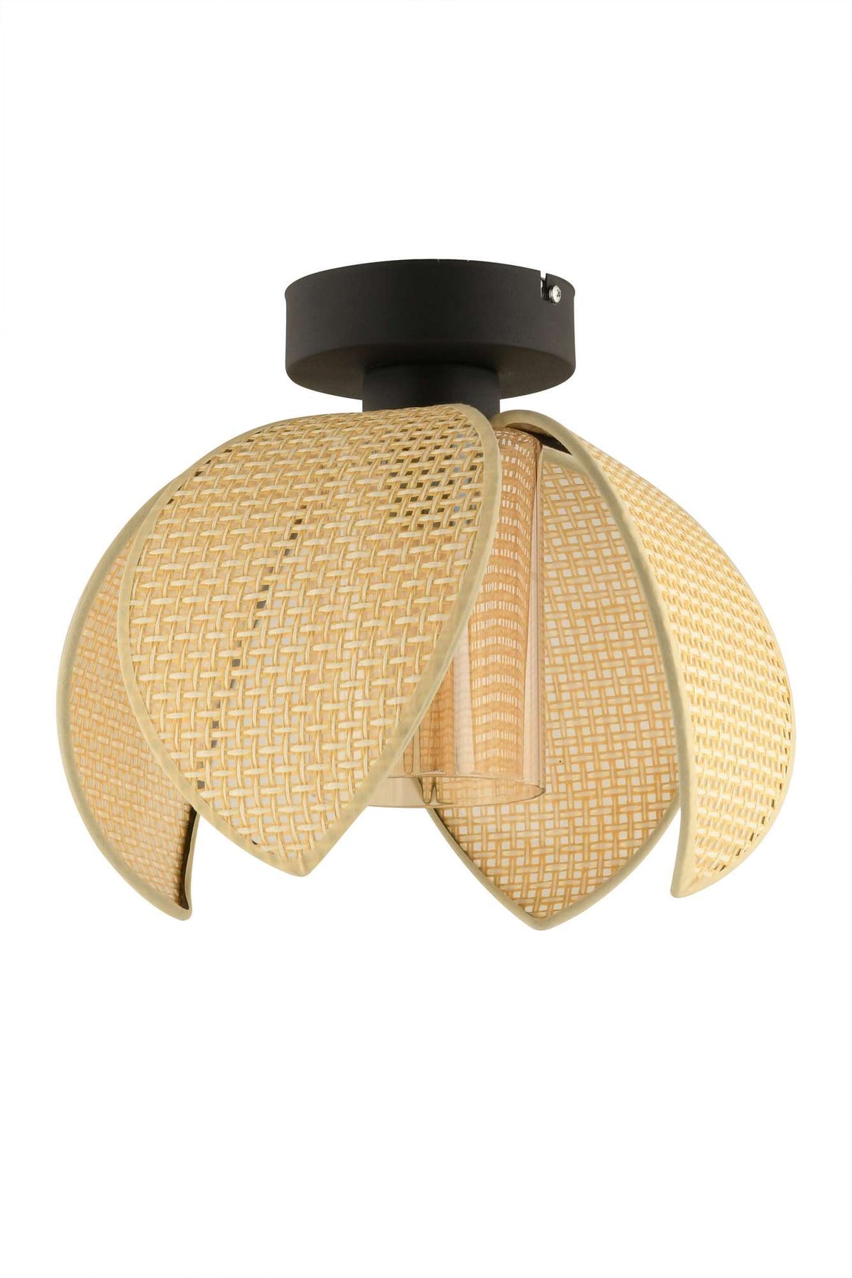 Luster 695, Krem, Crna
