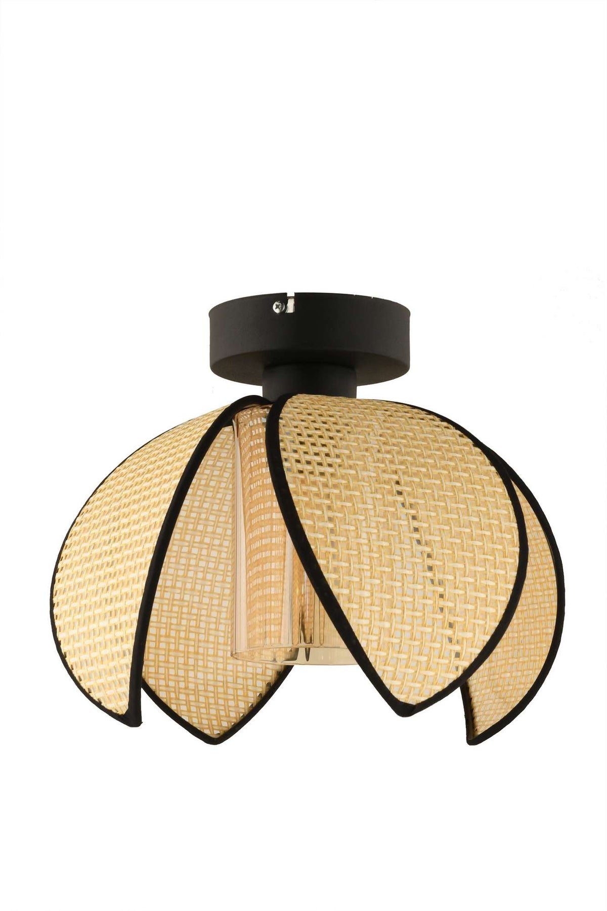 Luster 701, Krem, Crna
