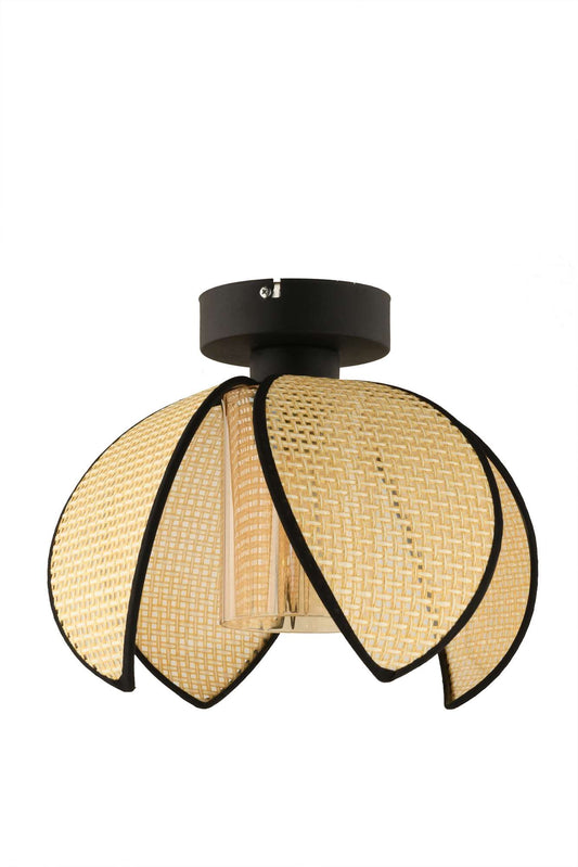 Luster 701, Krem, Crna