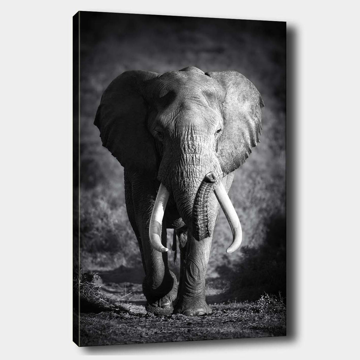 Ukrasna slika na platnu DIOR