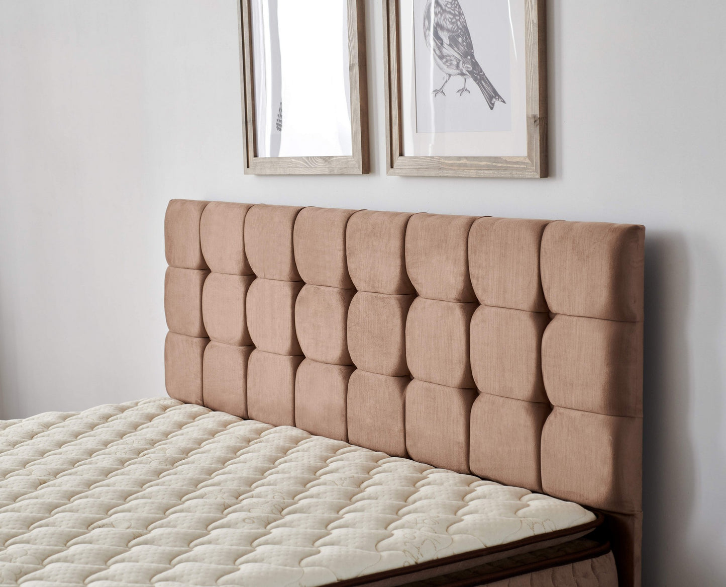 Madrac, Bijela boja Smeđa, W Cotton 140x190 cm Double Size Firm Mattress