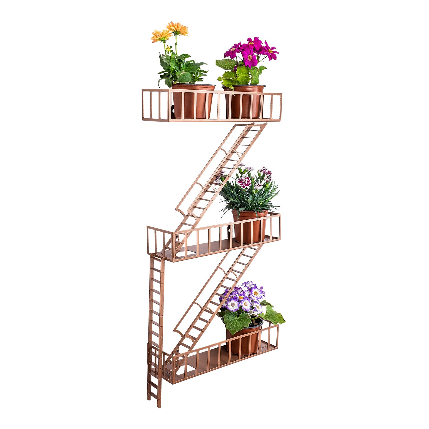 7c19bd1124fac23bbdf80dcd9f978afc