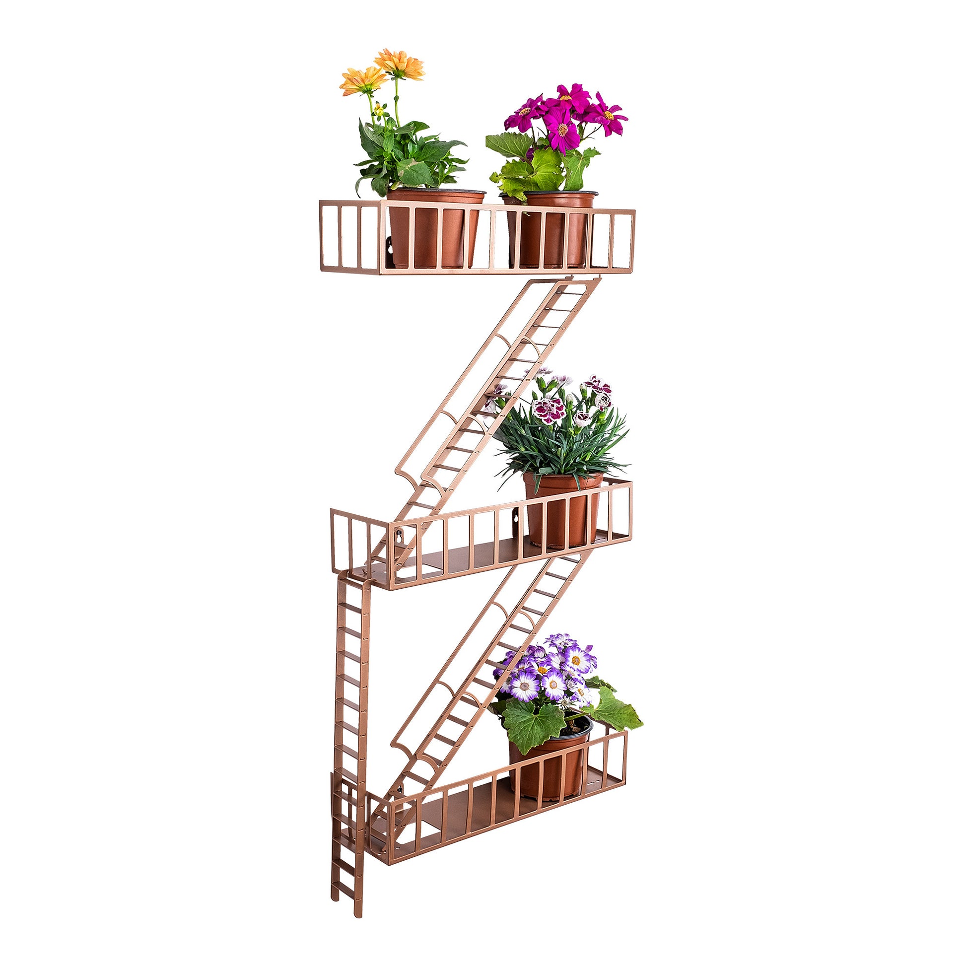 7c19bd1124fac23bbdf80dcd9f978afc