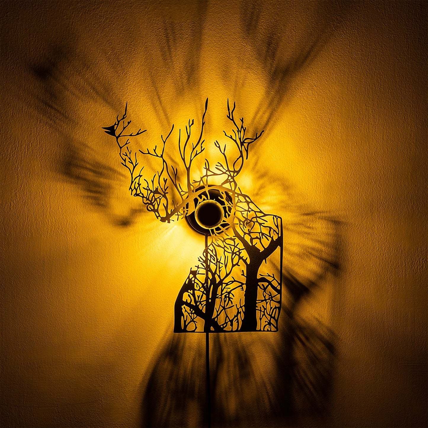 3812f6bea48f6a85fdf100eaea215745