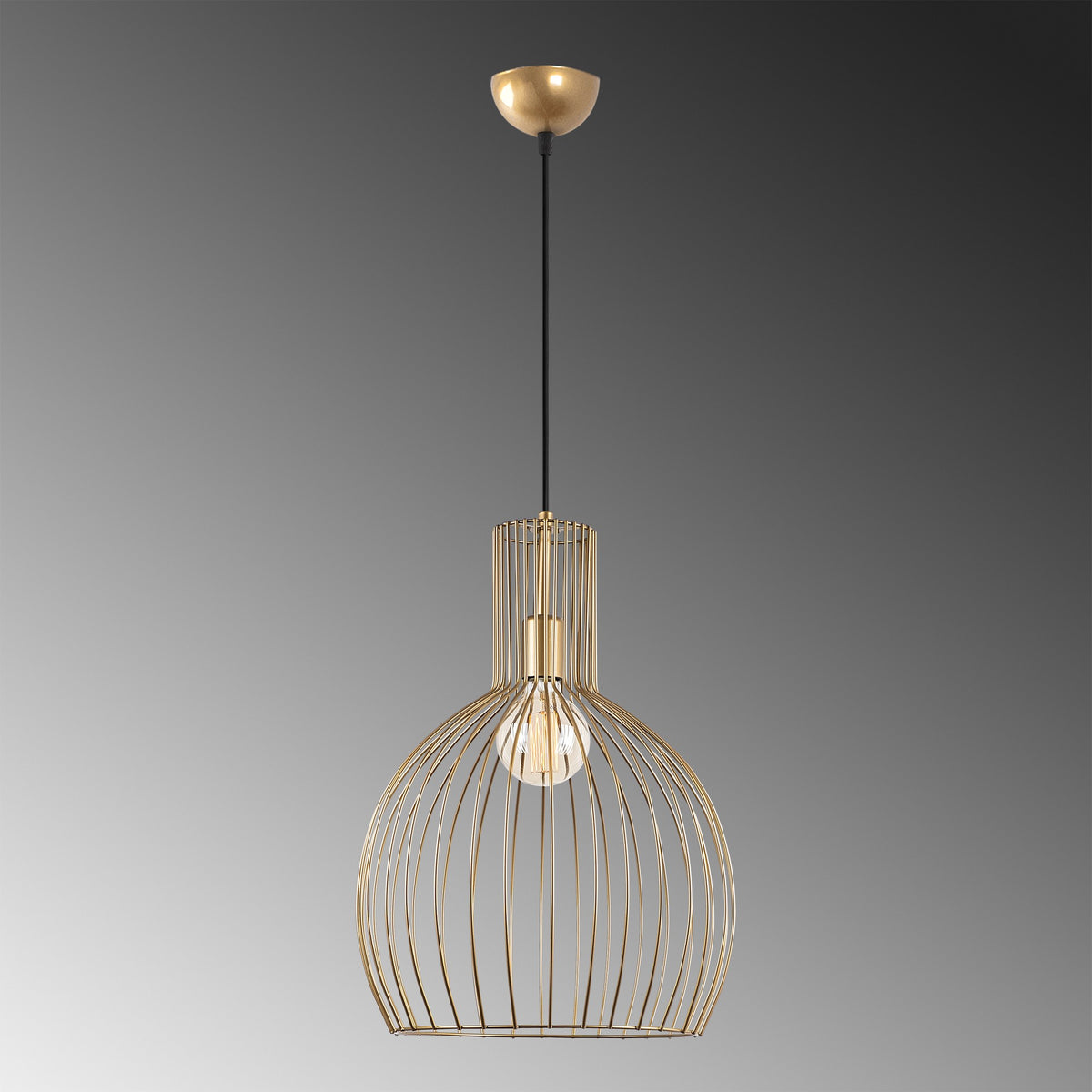 Luster AMELIA