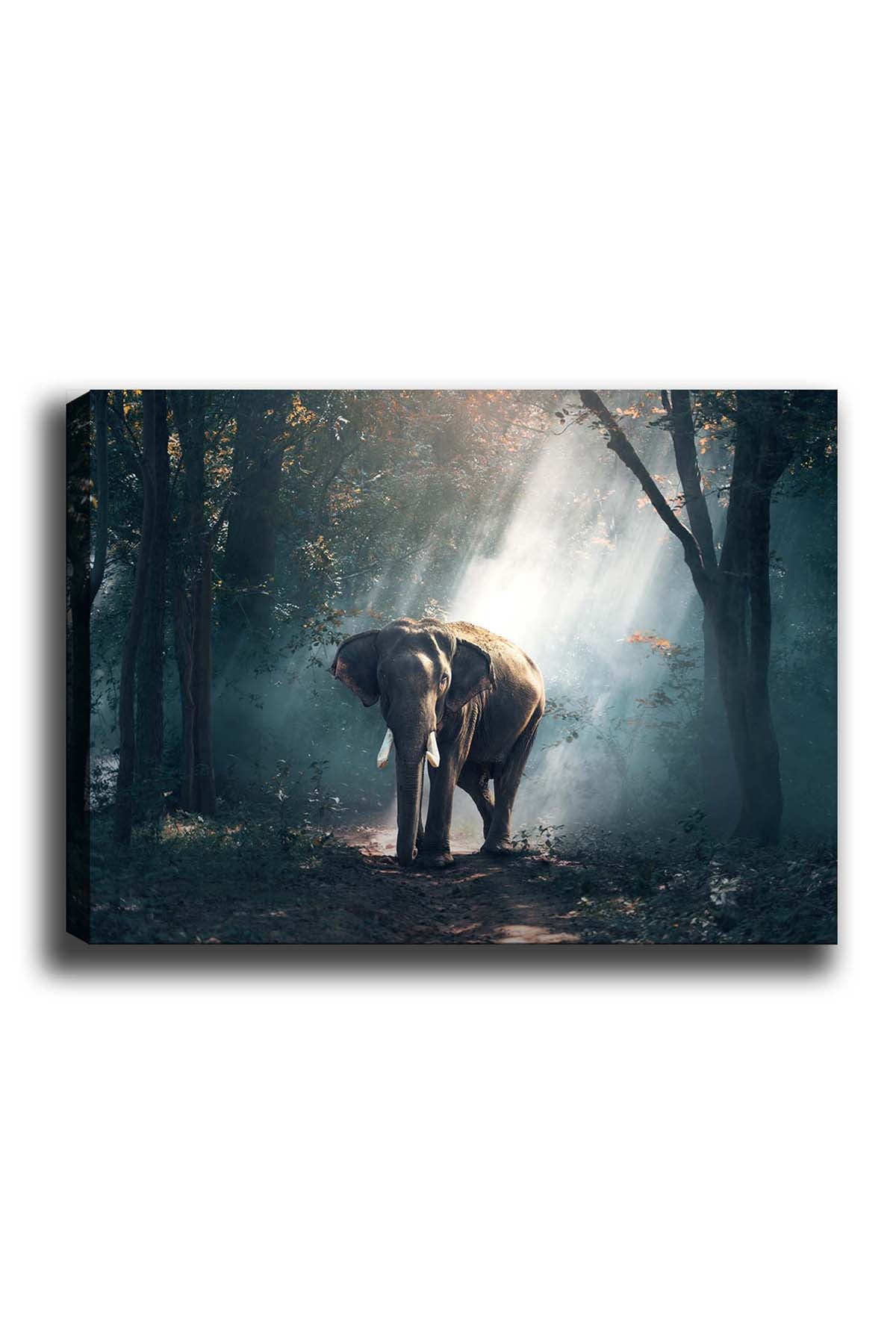 Slika ukrasna platno, Kanvas Tablo (50 x 70) - 153