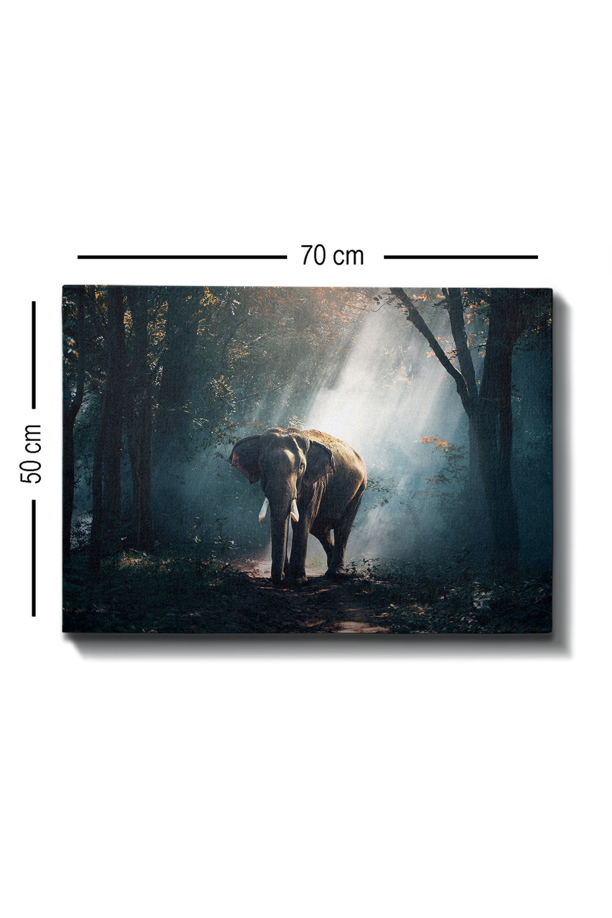 Slika ukrasna platno, Kanvas Tablo (50 x 70) - 153