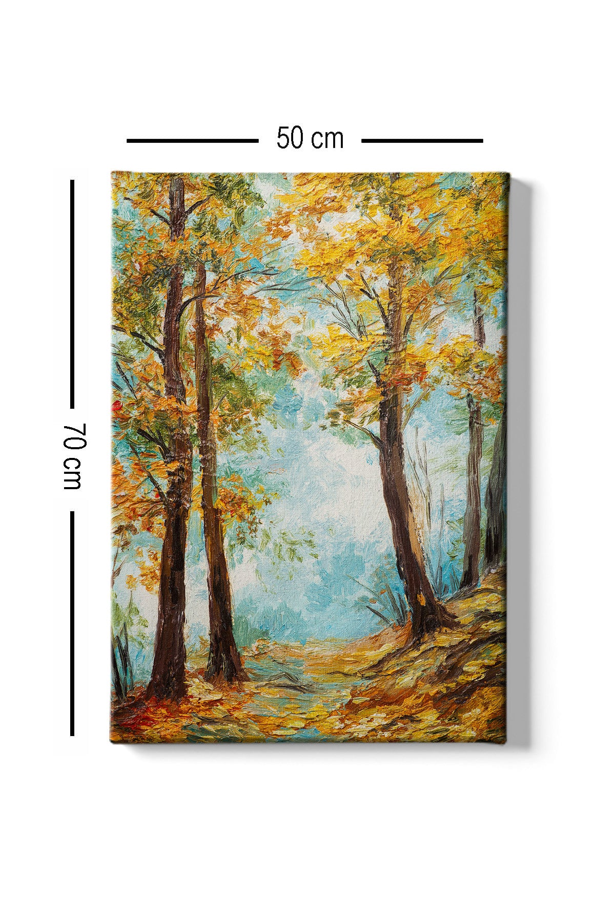 Slika ukrasna platno, Kanvas Tablo (50 x 70) - 199