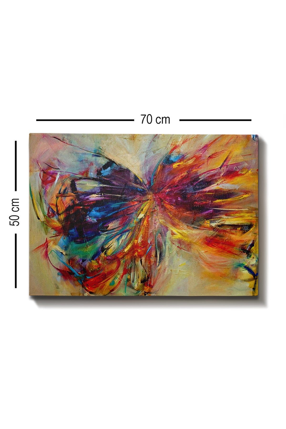 Ukrasna slika platno, Kanvas Tablo (50 x 70) - 267