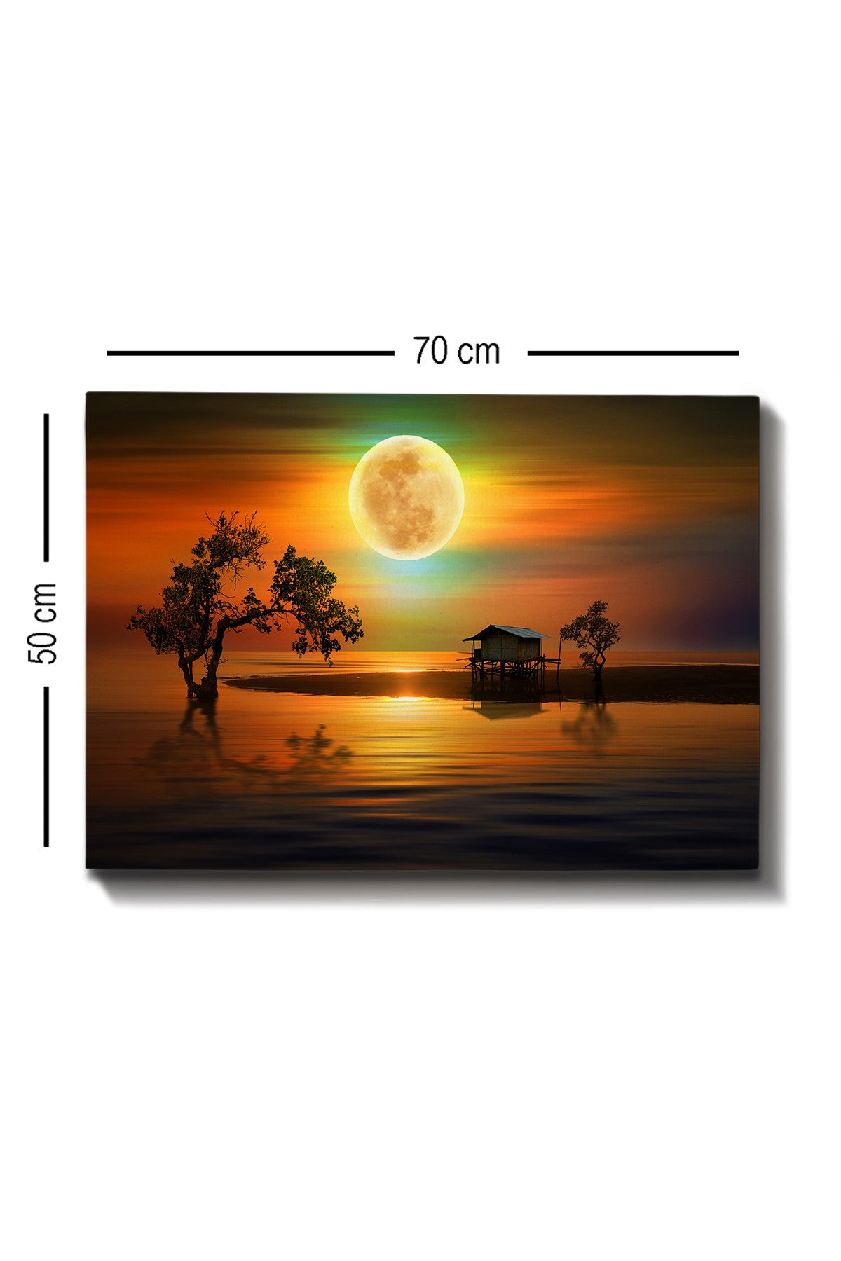 Slika ukrasna platno, Kanvas Tablo (50 x 70) - 269