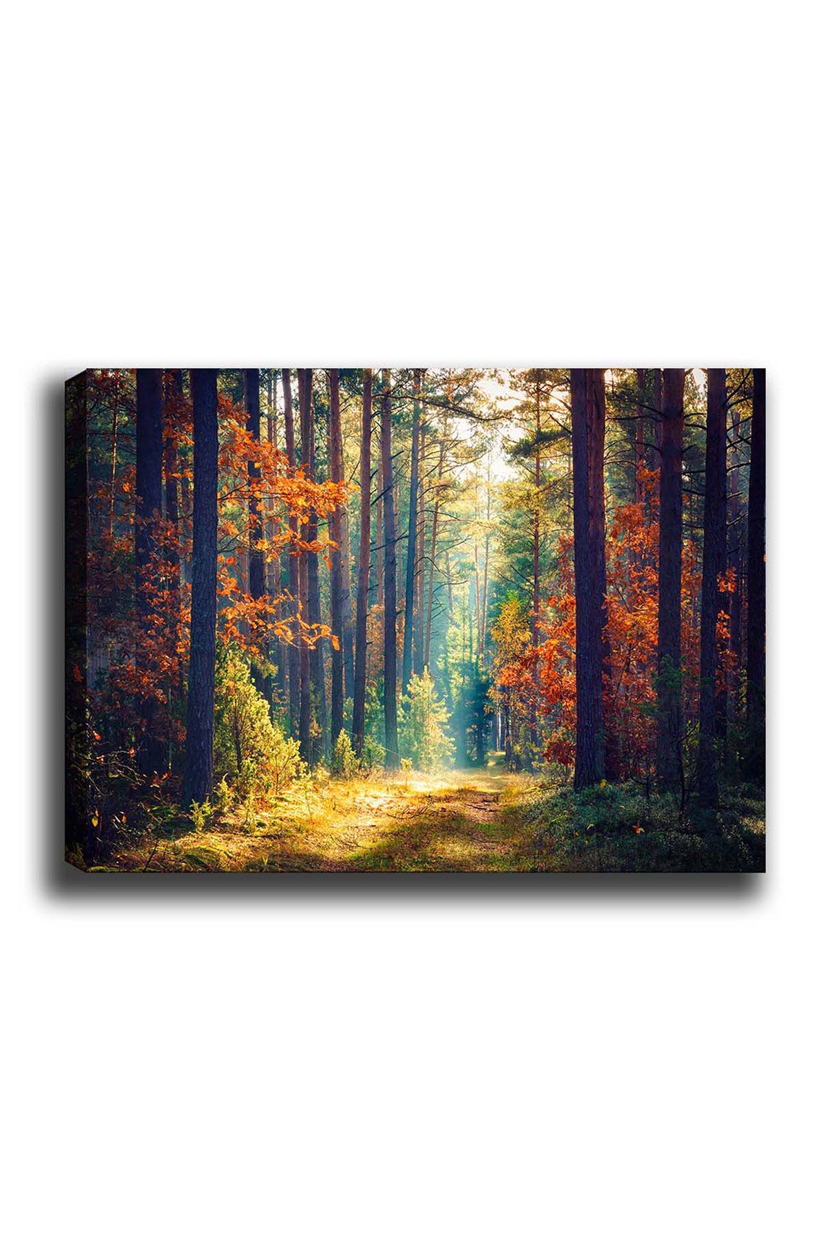 Ukrasna slika na platnu Kanvas Tablo (50 x 70) - 274