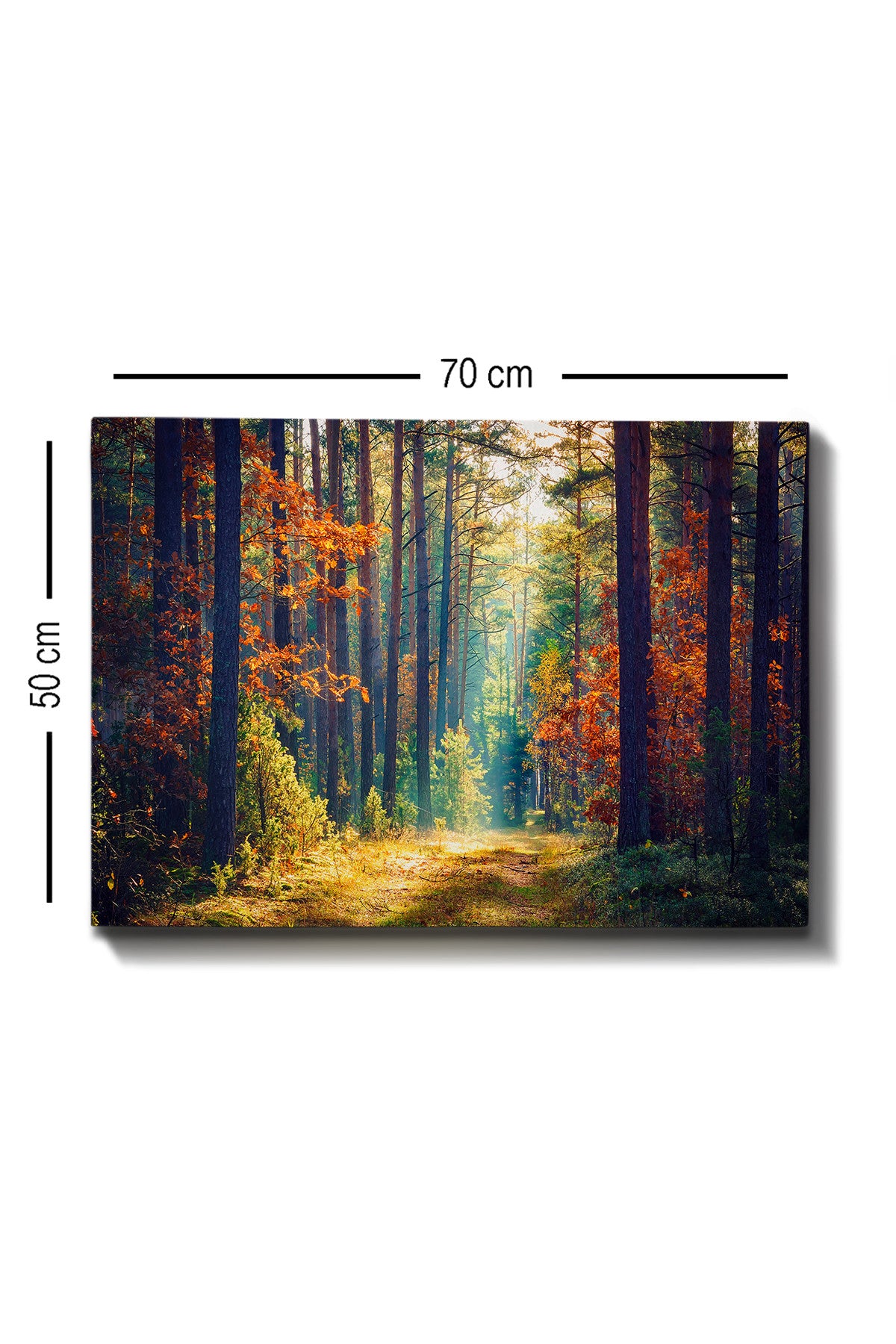 Ukrasna slika na platnu Kanvas Tablo (50 x 70) - 274