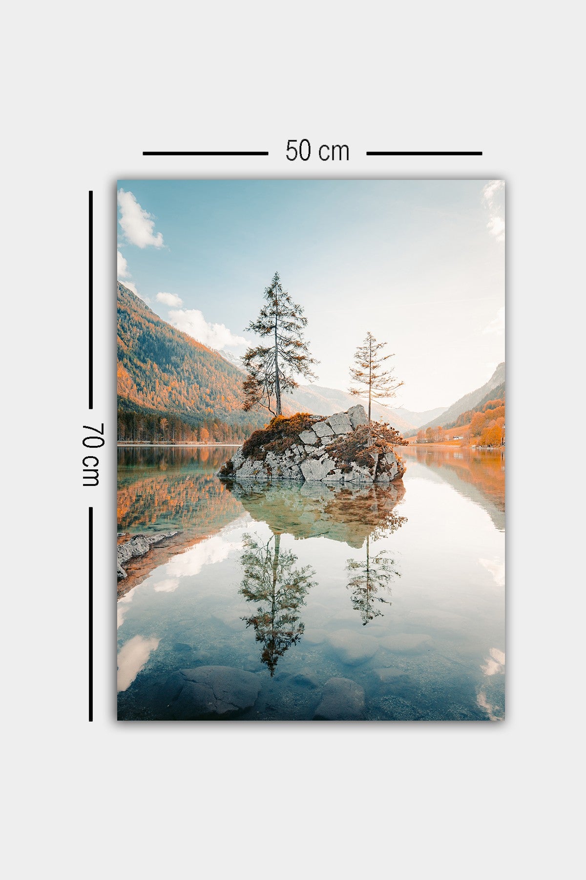 Slika ukrasna platno, 1297252393-5070