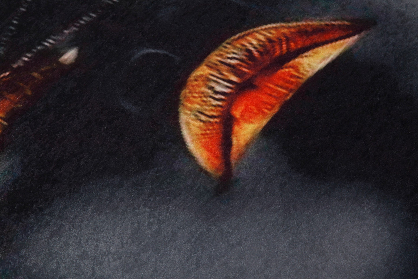 Tepih (80 x 200), Landry