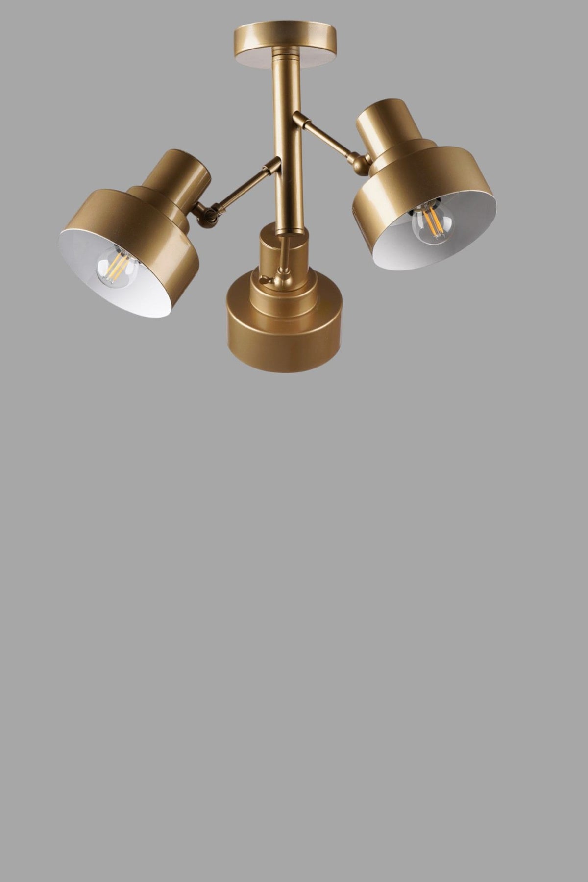 Luster 399, Zlatni