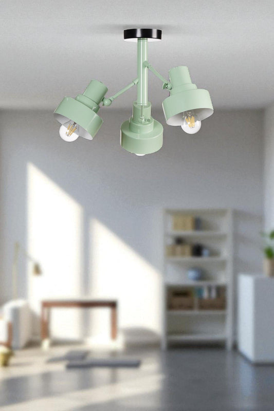 Luster 429, Mint