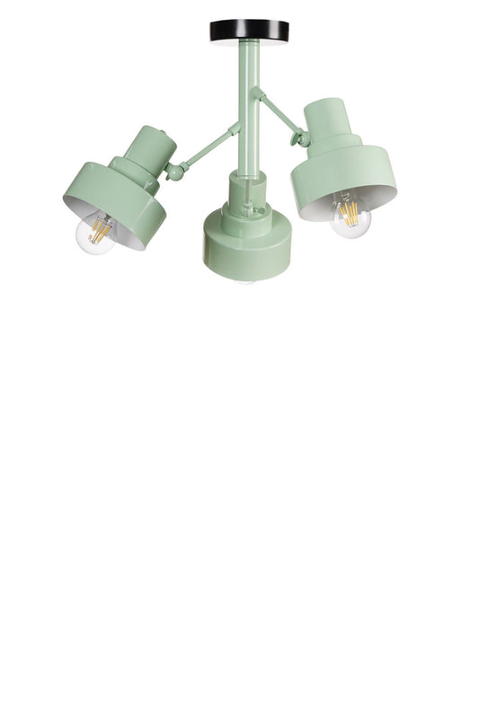 Luster 429, Mint