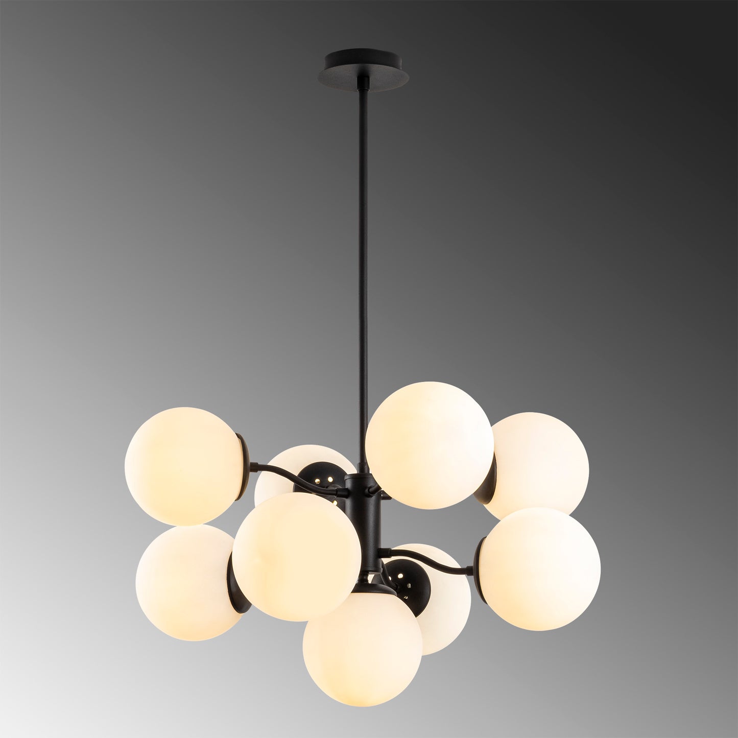 Luster, 536NTD1170