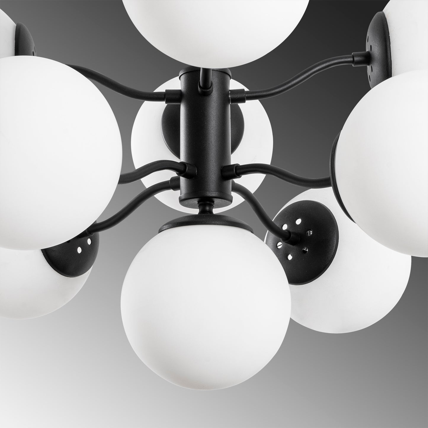 Luster, 536NTD1170