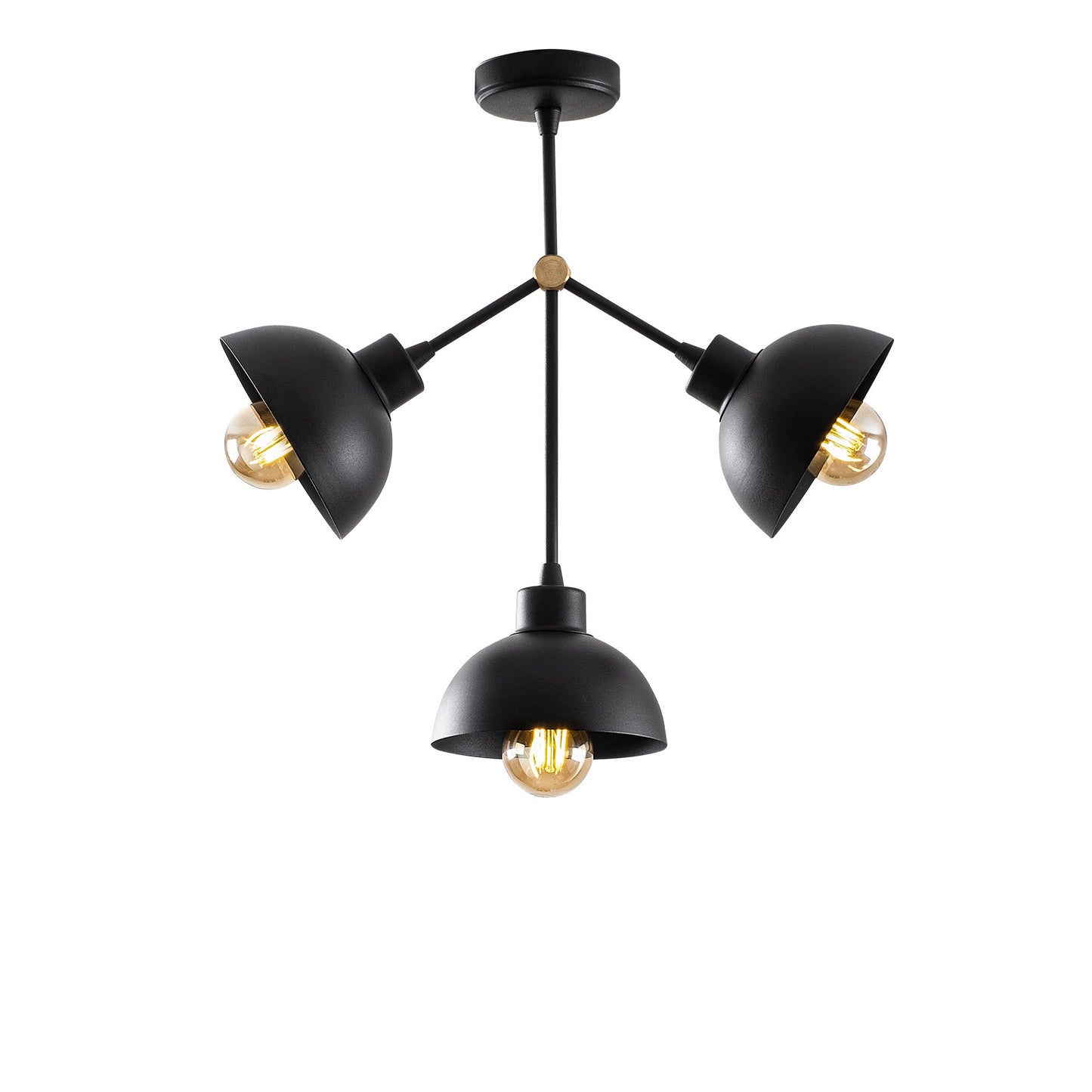Luster, 584TTM1202