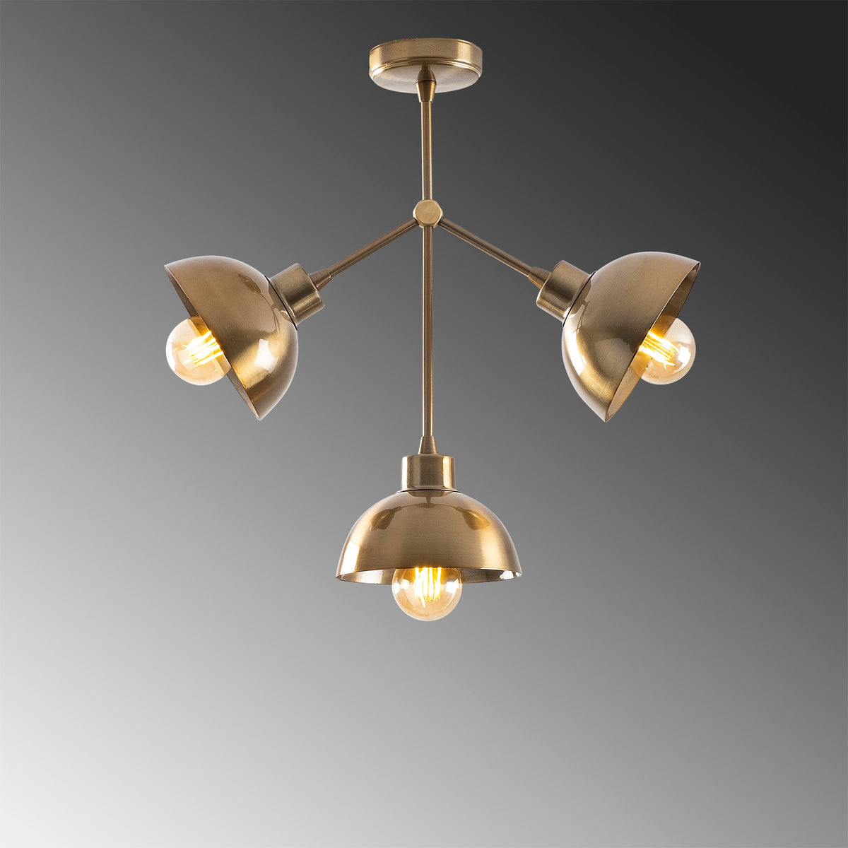 Luster, 584TTM1203