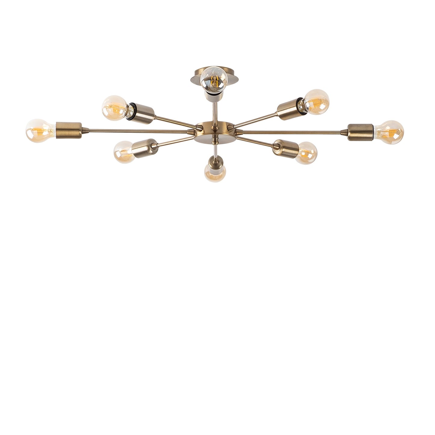 Luster, 584TTM1206