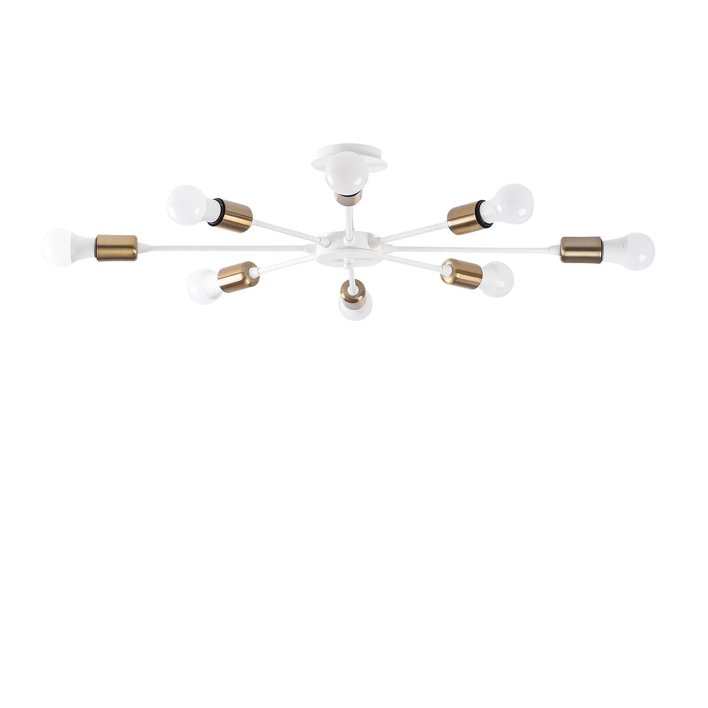Luster, 584TTM1208