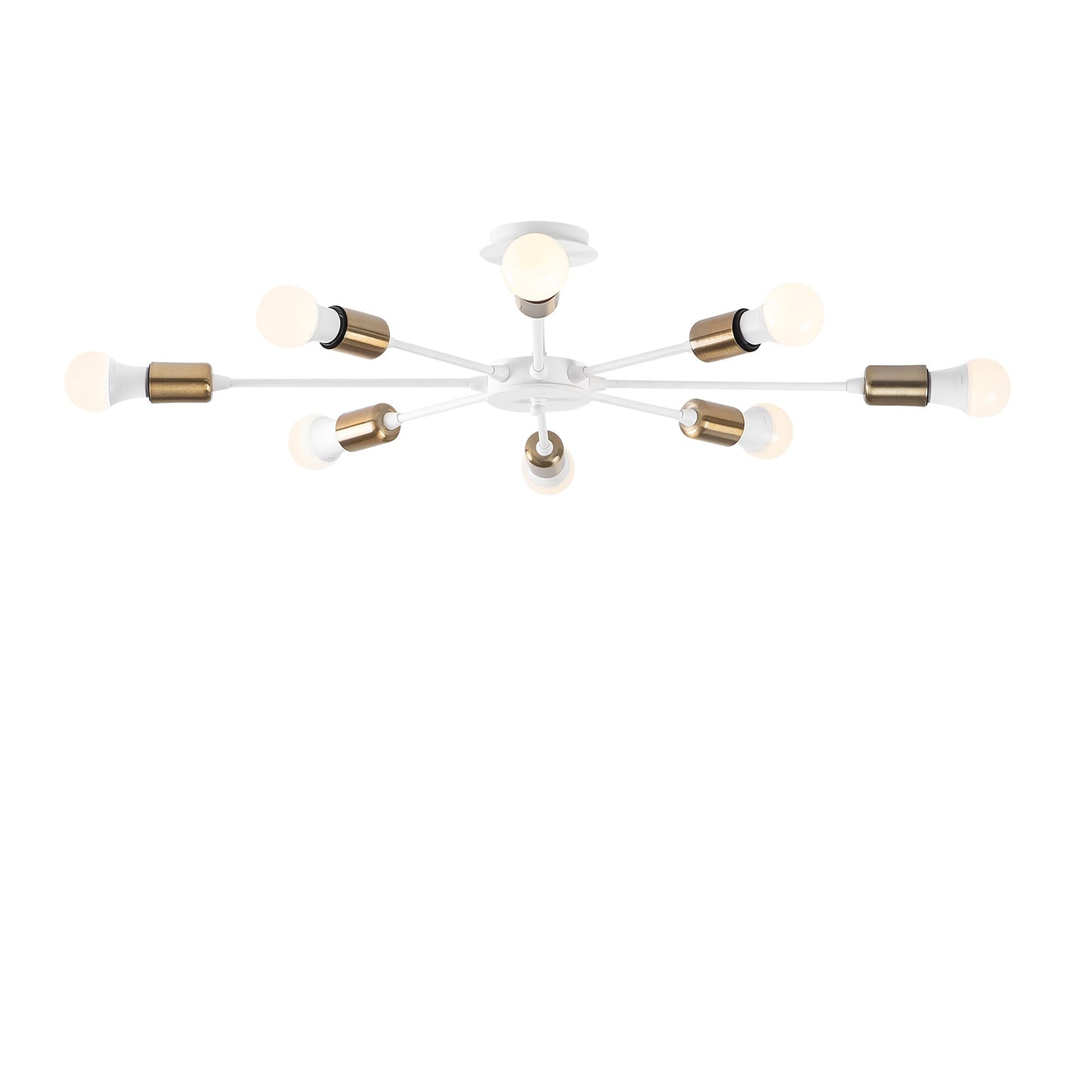 Luster, 584TTM1208
