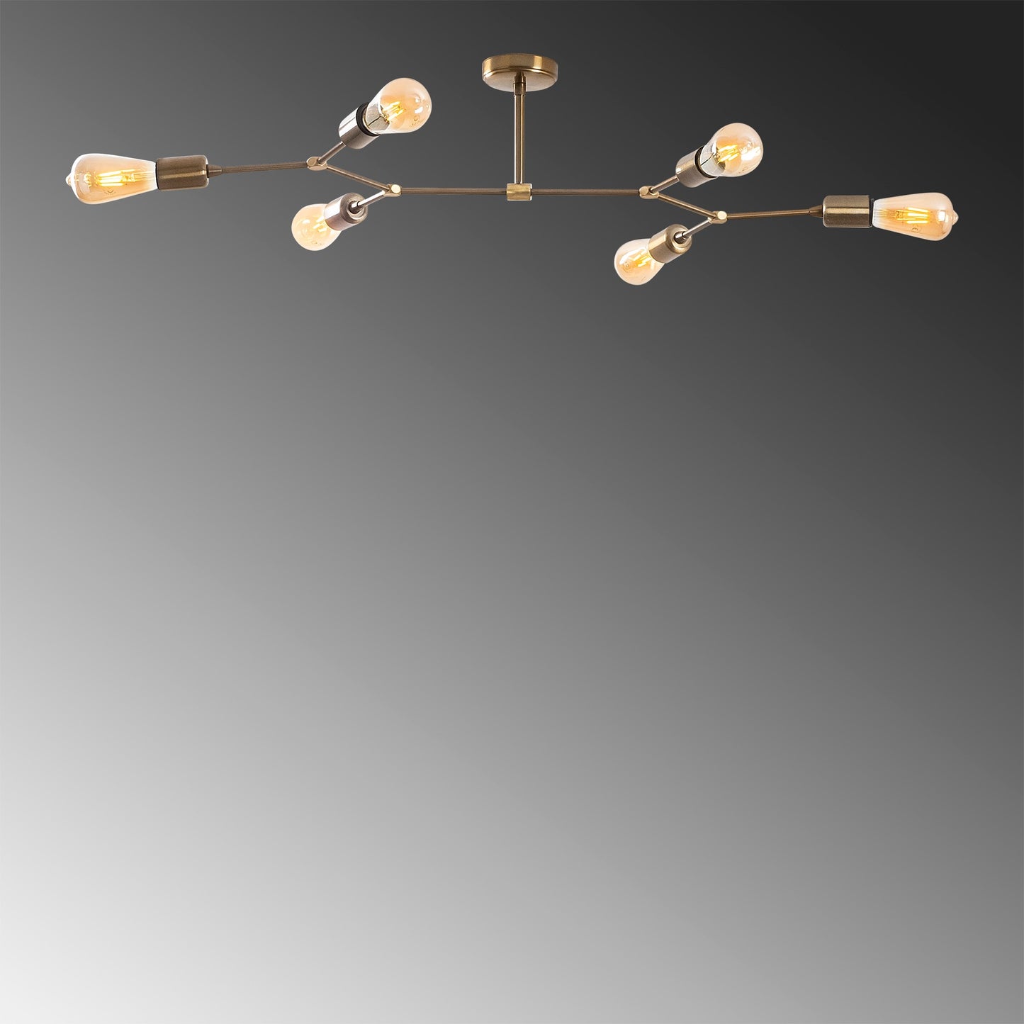 Luster, 584TTM1250
