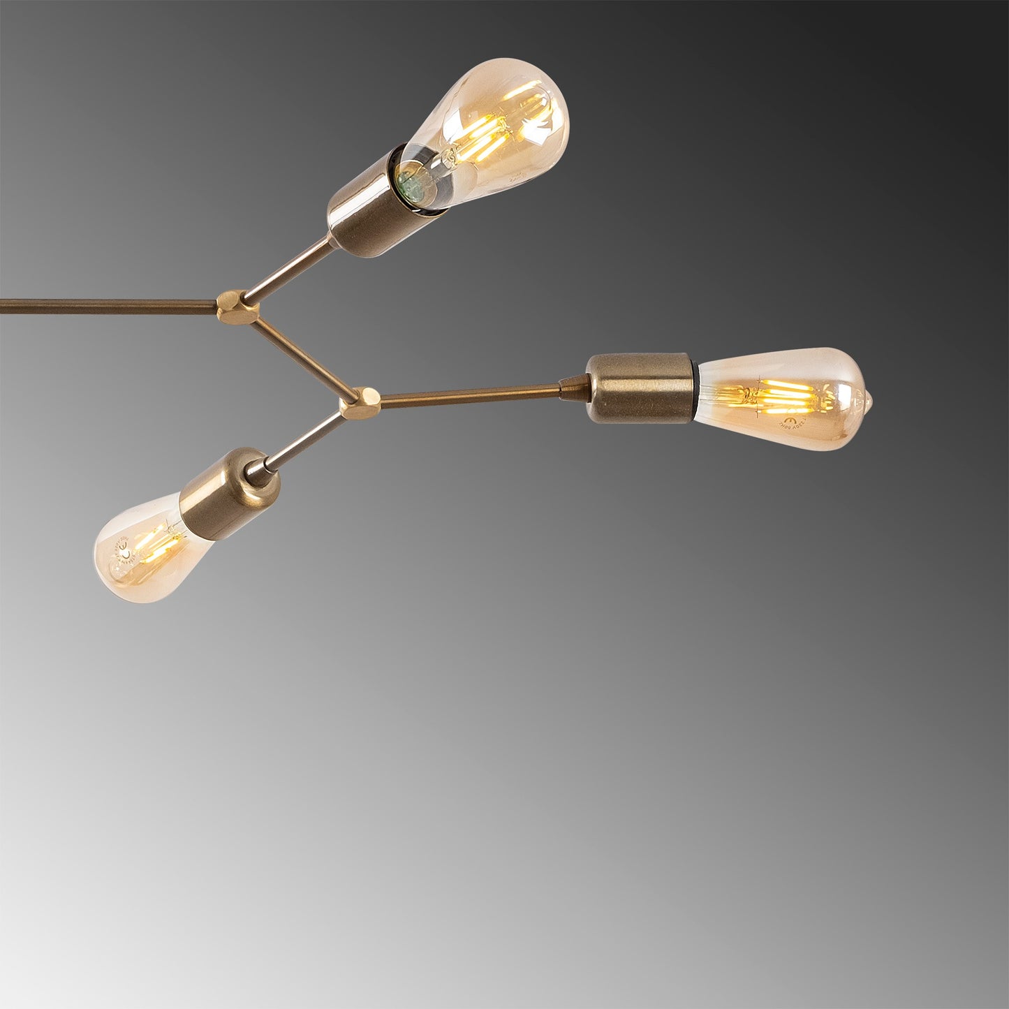 Luster, 584TTM1250