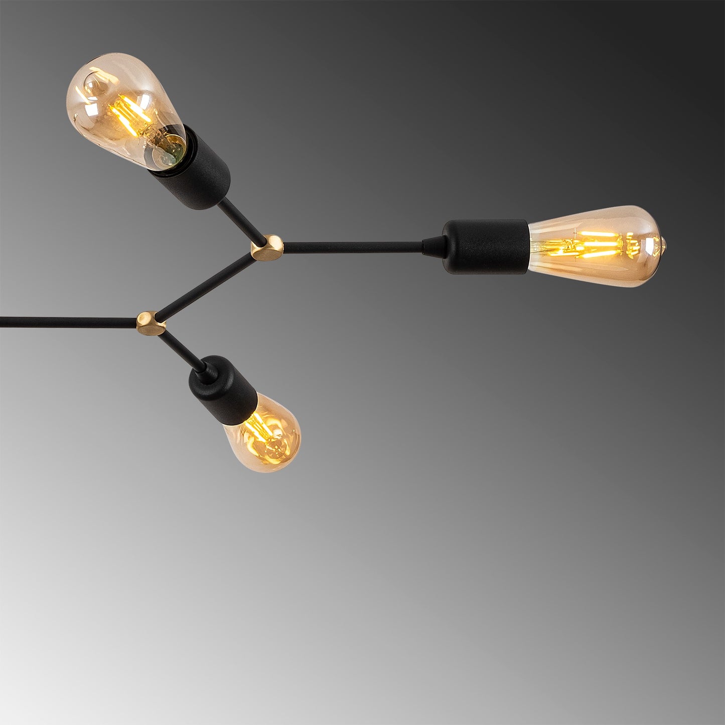 Luster, 584TTM1251