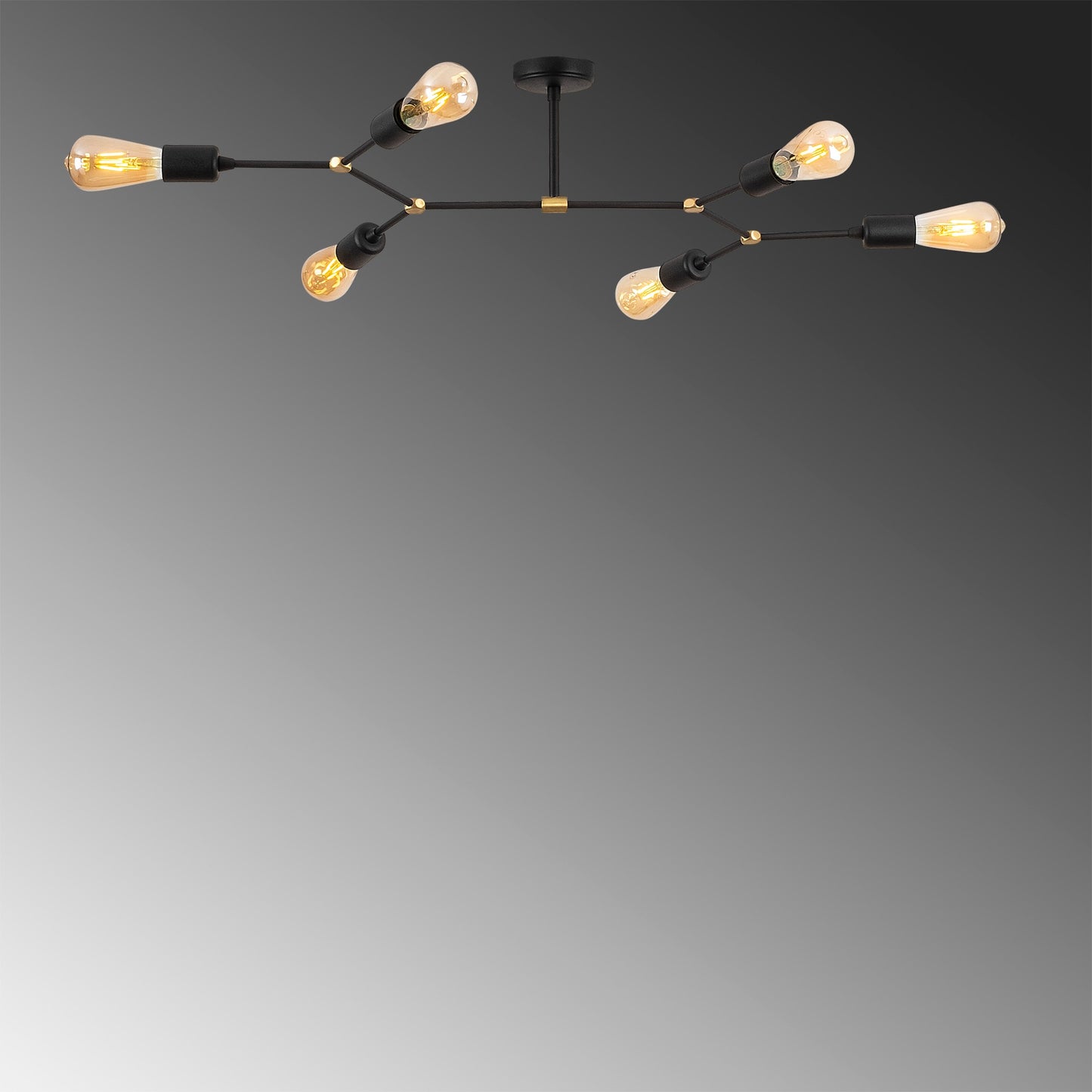 Luster, 584TTM1251