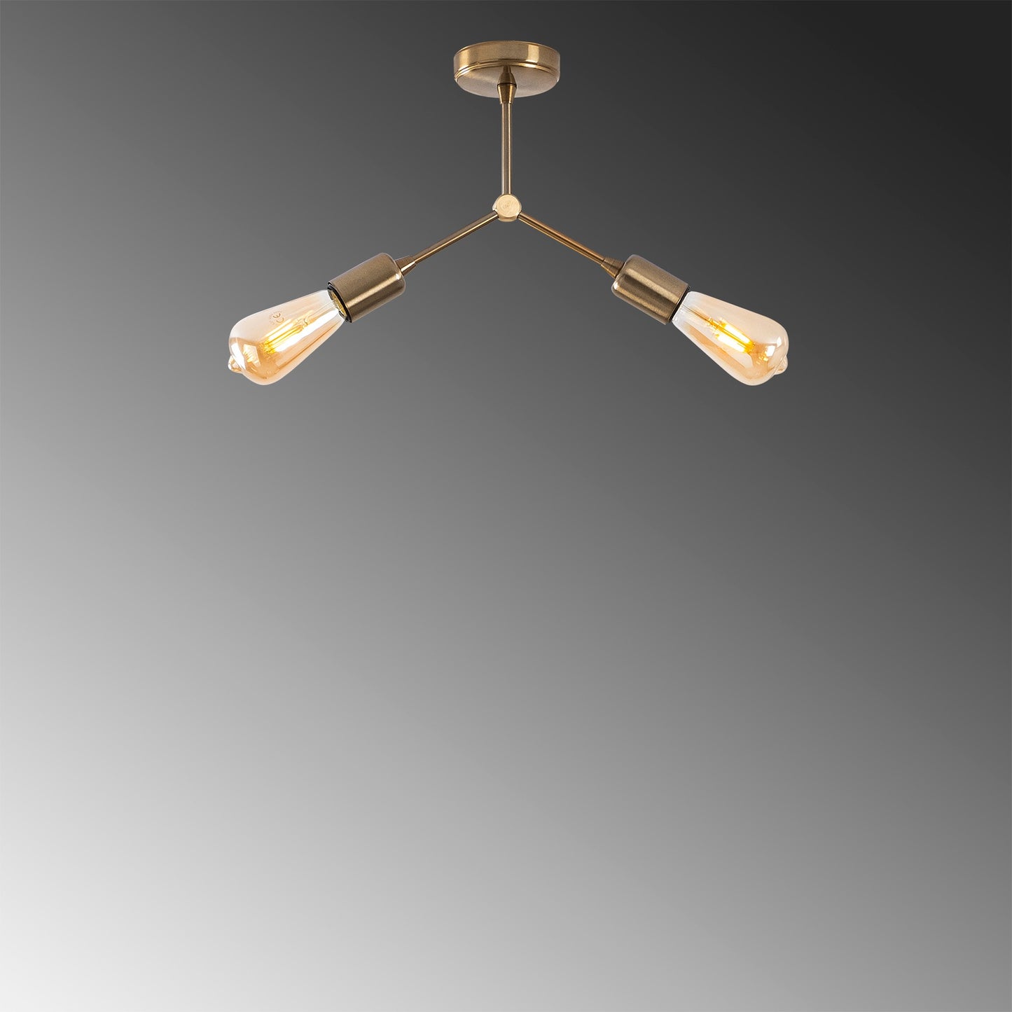 Luster, 584TTM1254