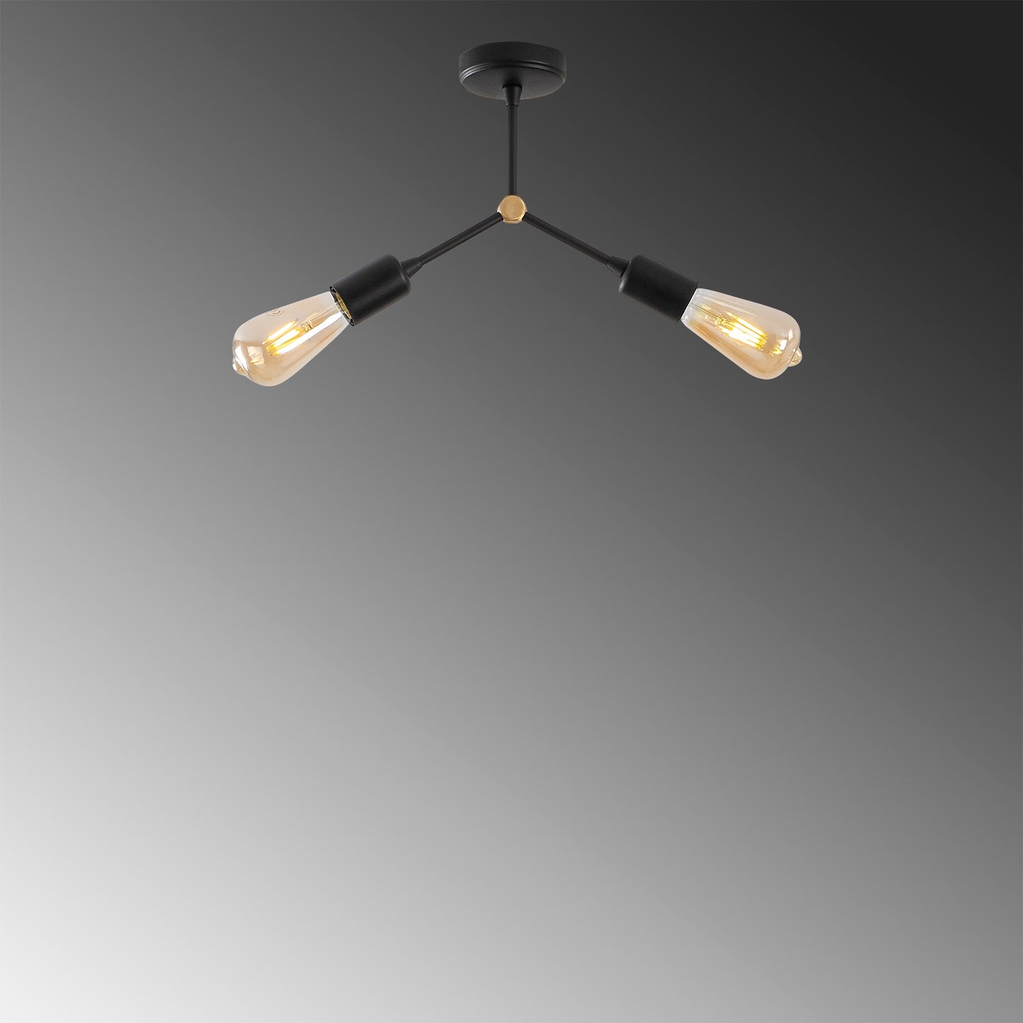 Luster, 584TTM1255