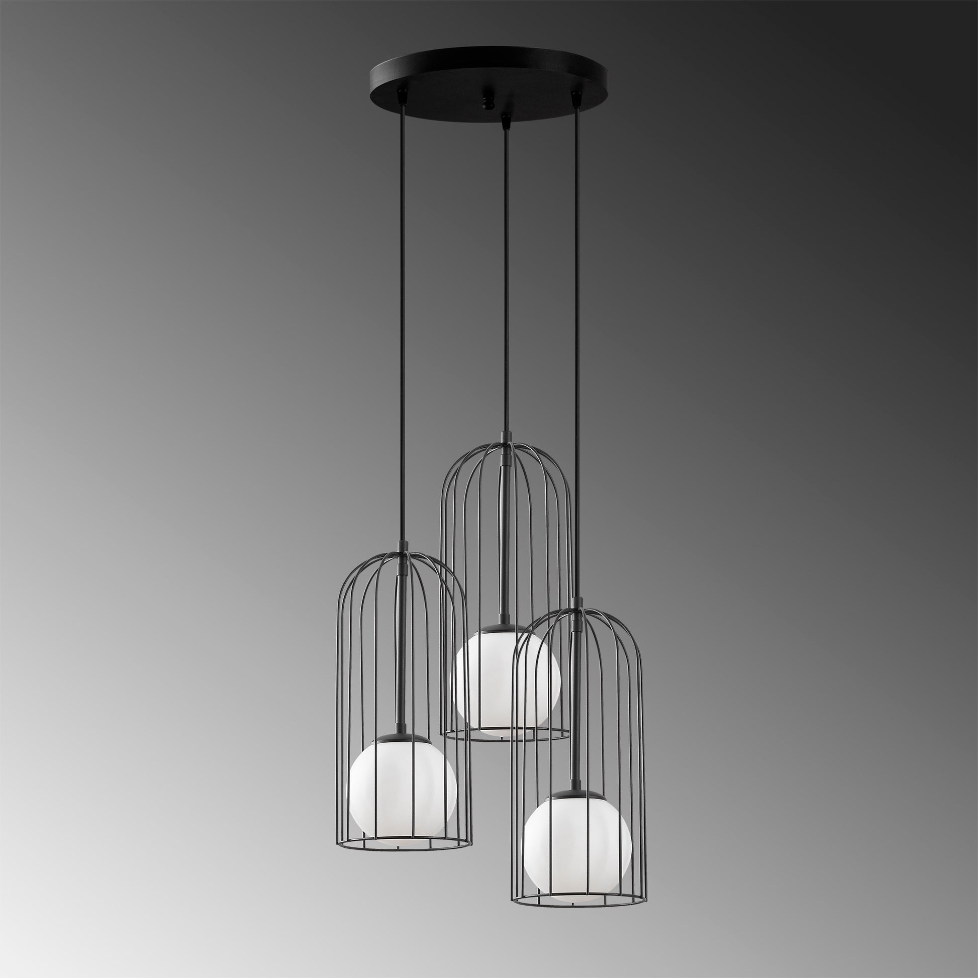 78c953bd16a830a822641c02af5e976a