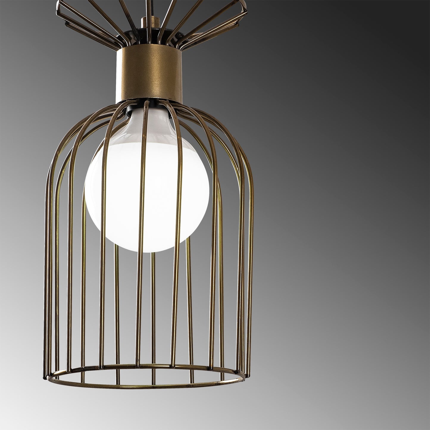 9c1a9049c7690a5ca521c8c293009000