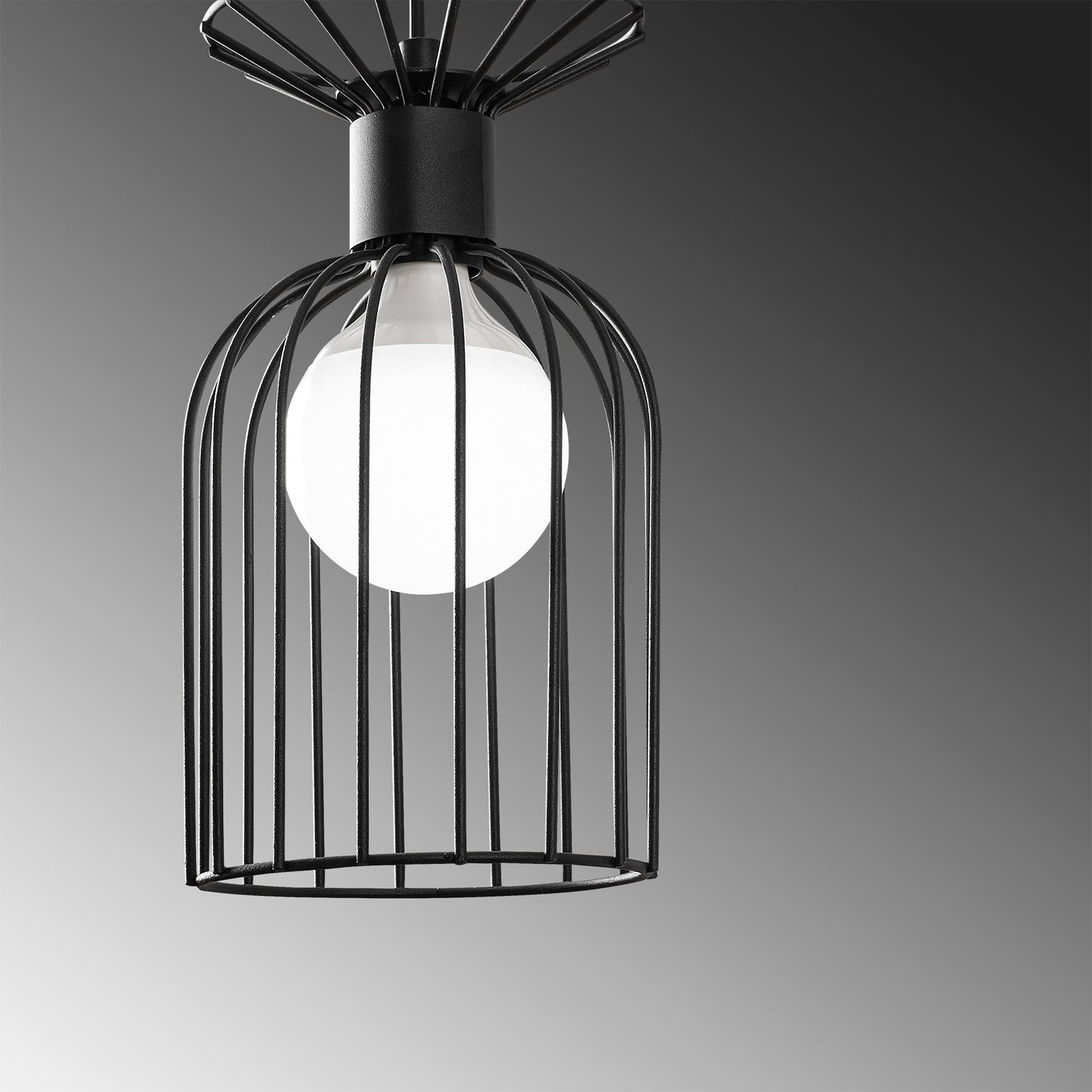 e76f3f0a19e1d72e137782d14444167a