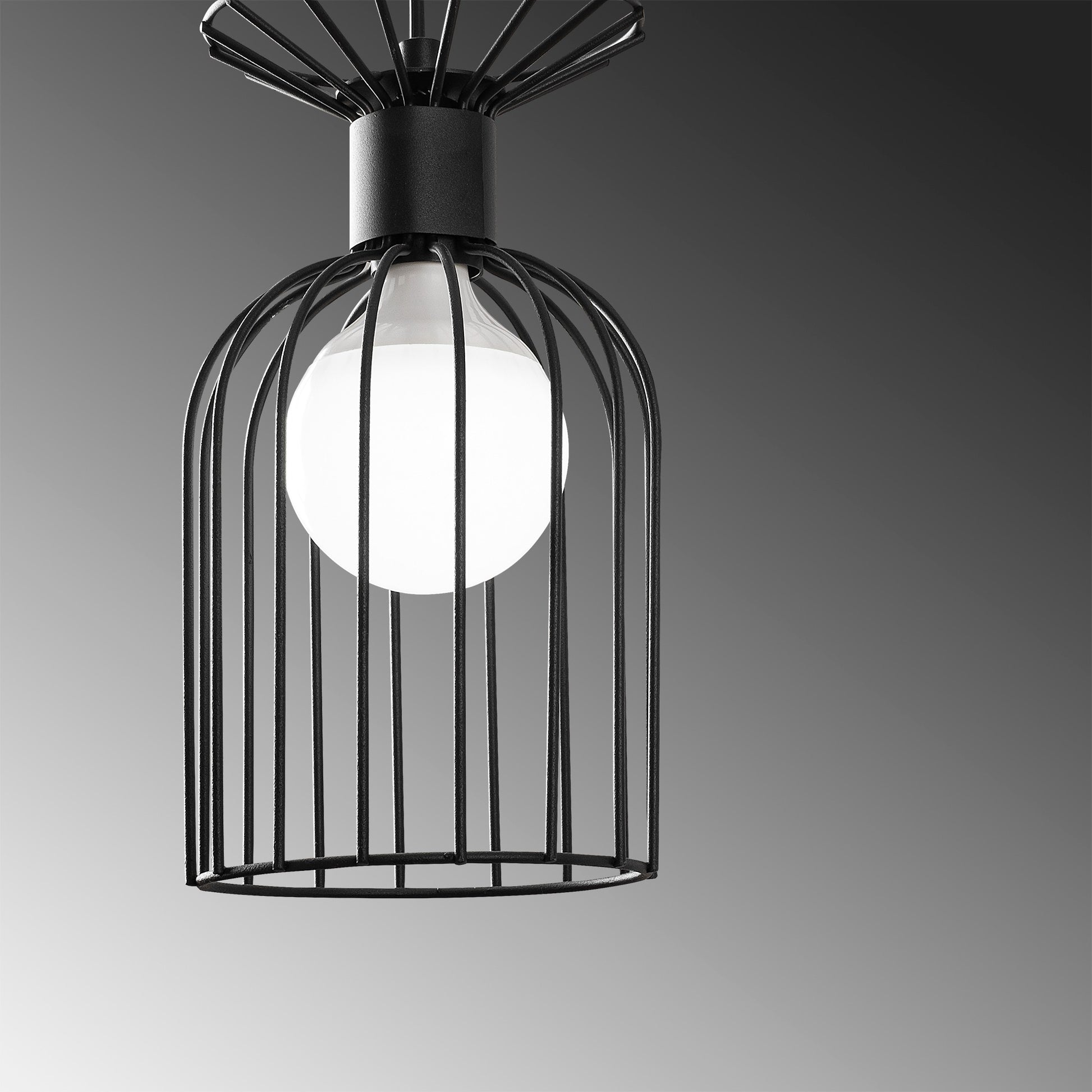 e76f3f0a19e1d72e137782d14444167a